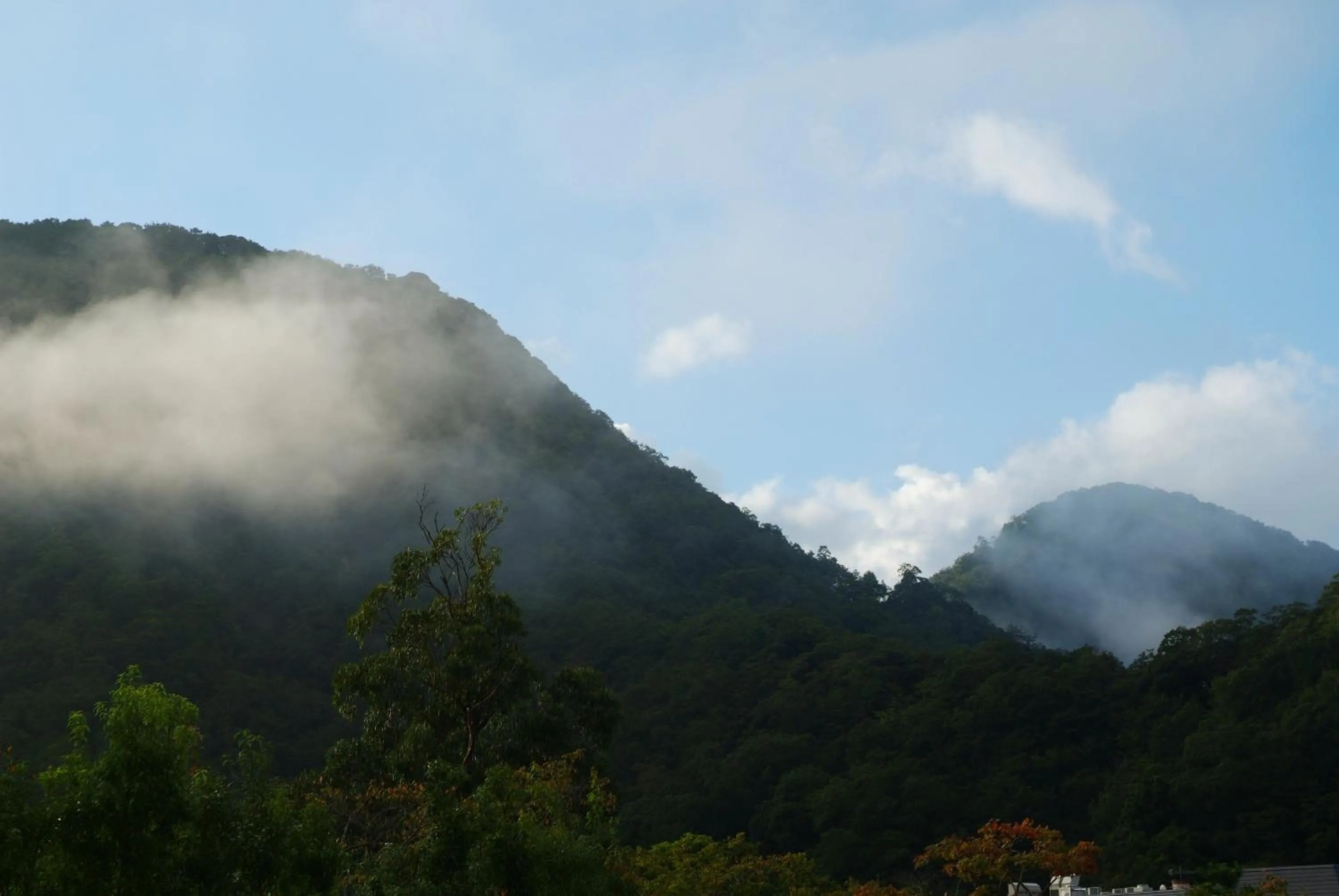 Property building in Ginka