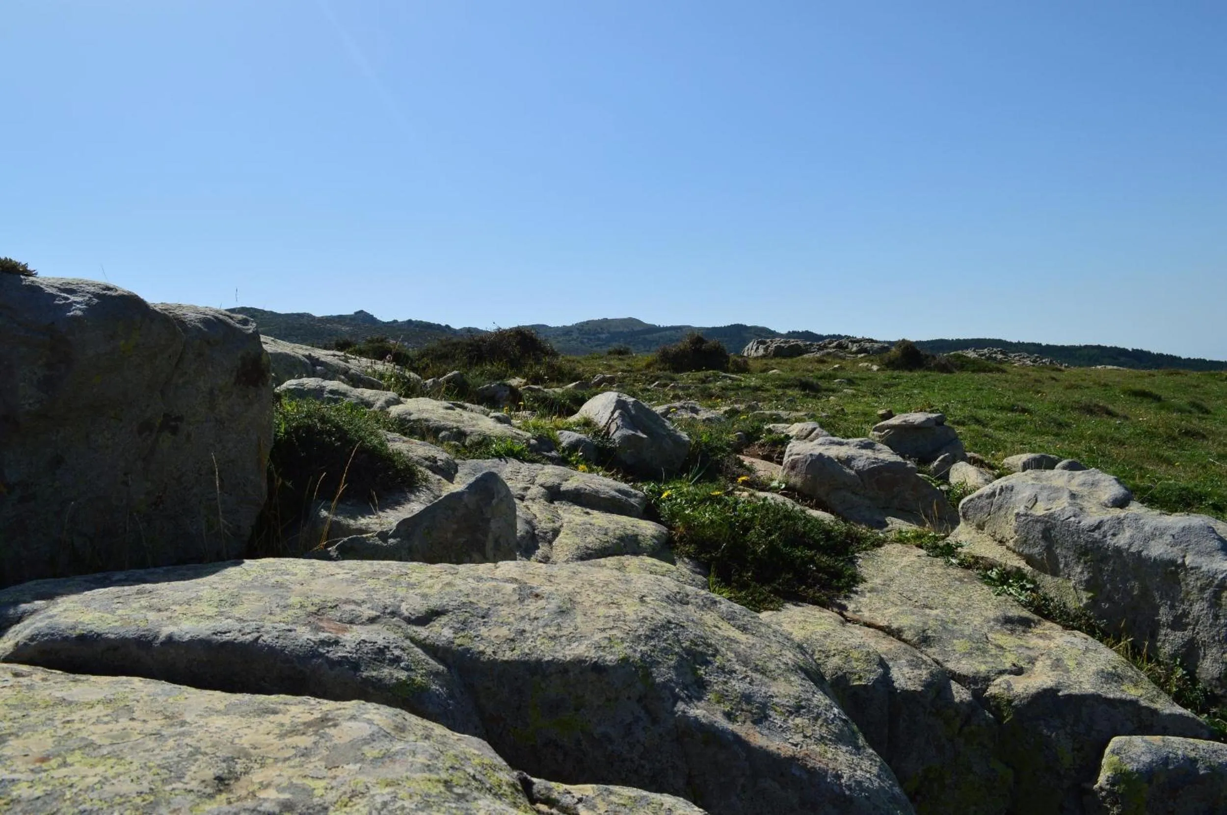 Other in Il Castello