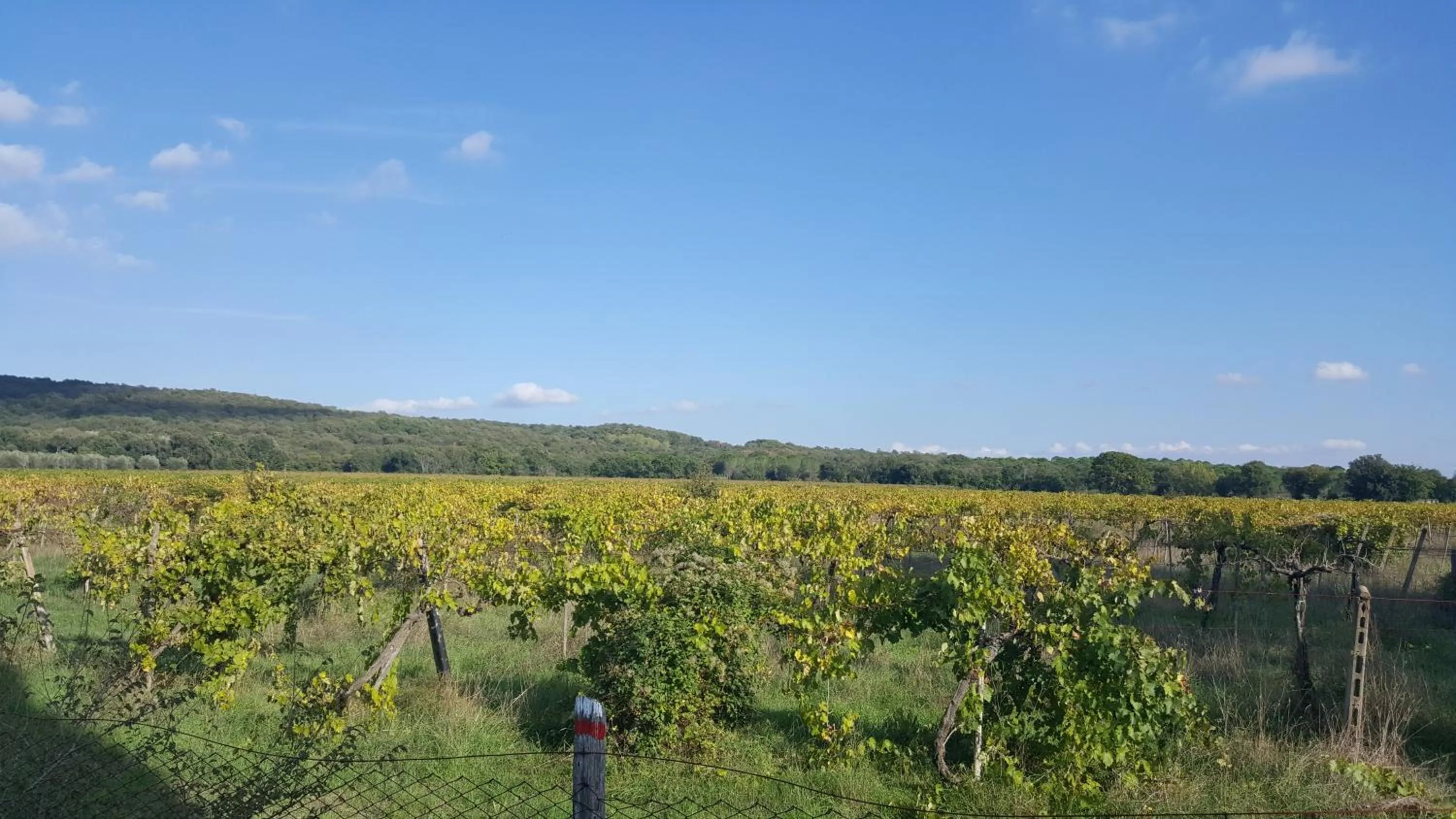 Natural landscape in Locanda B&B Momo