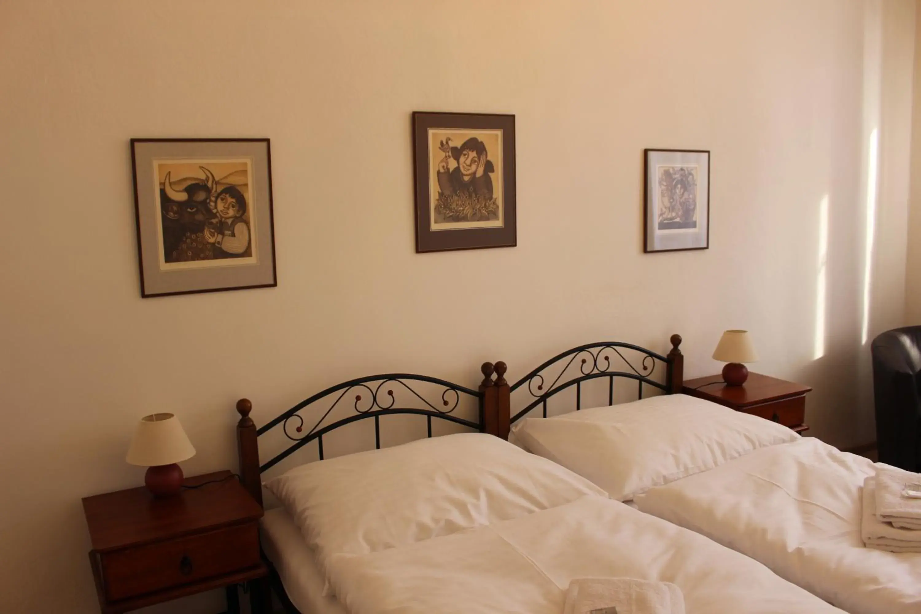 Double or Twin Room with City View - single occupancy in Hotel Černý kůň Double or Twin Room with City View - single occupancy in Hotel Černý kůň
