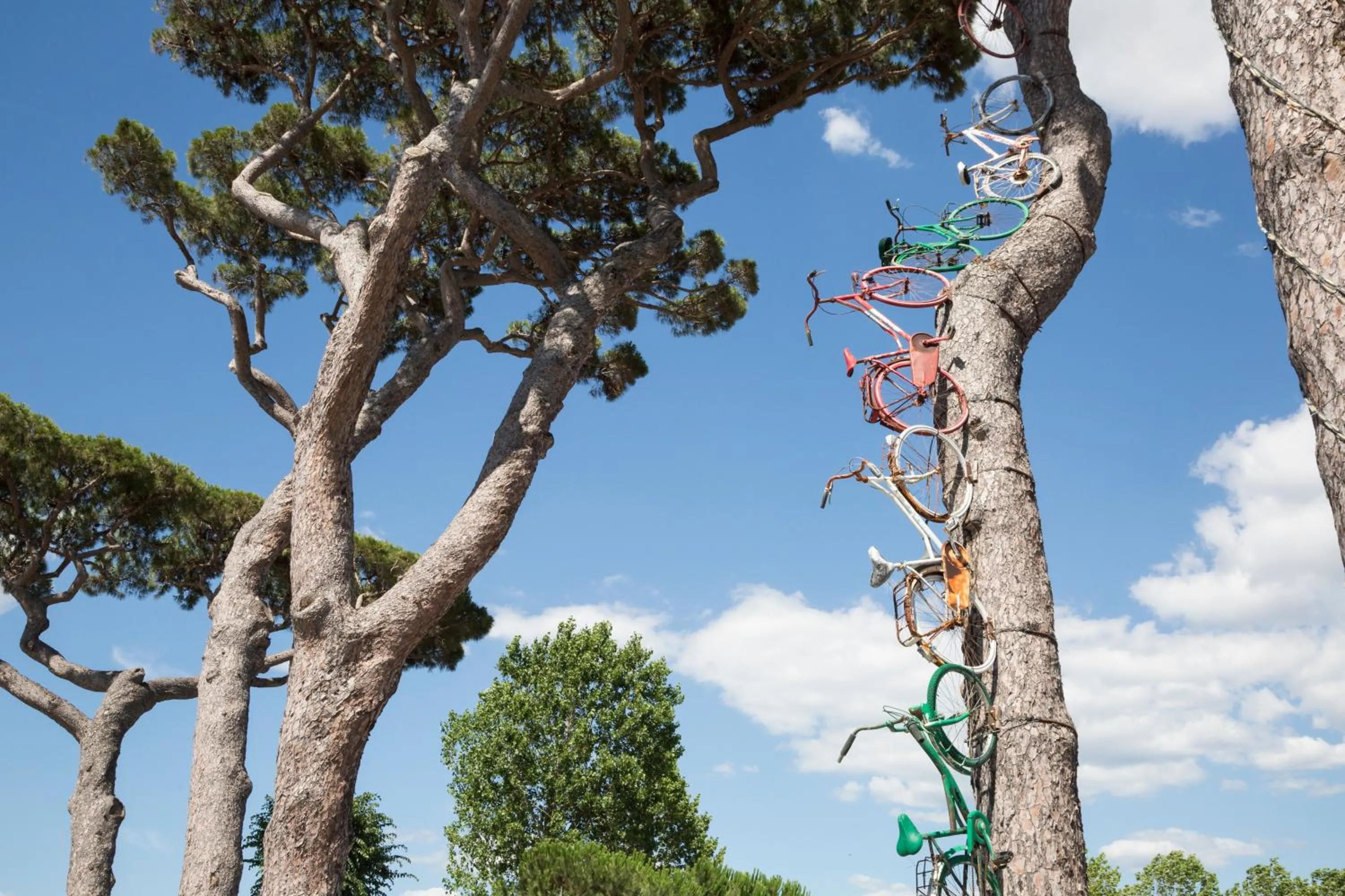 On site in hu Park Albatros village