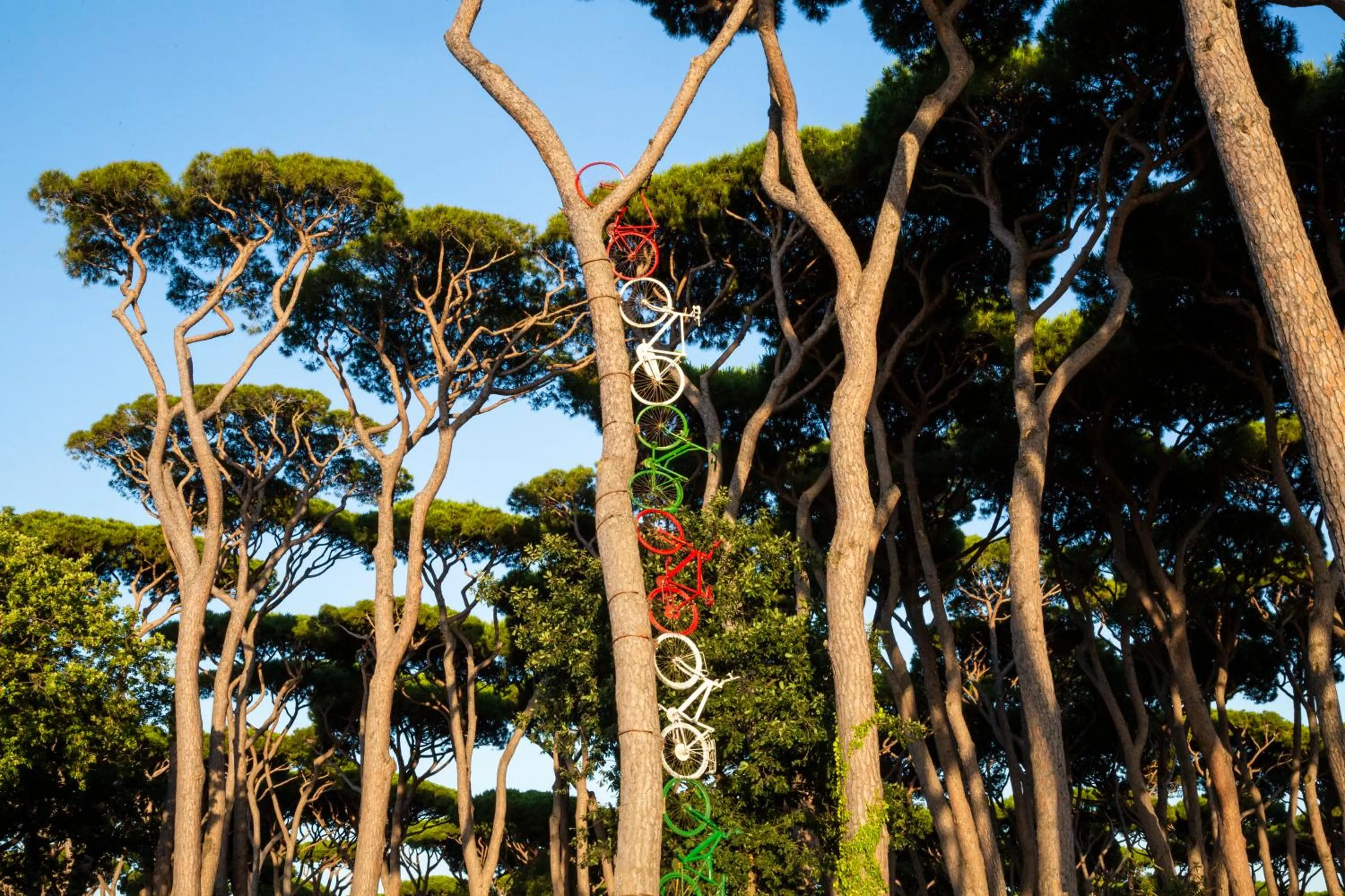 Garden in hu Park Albatros village
