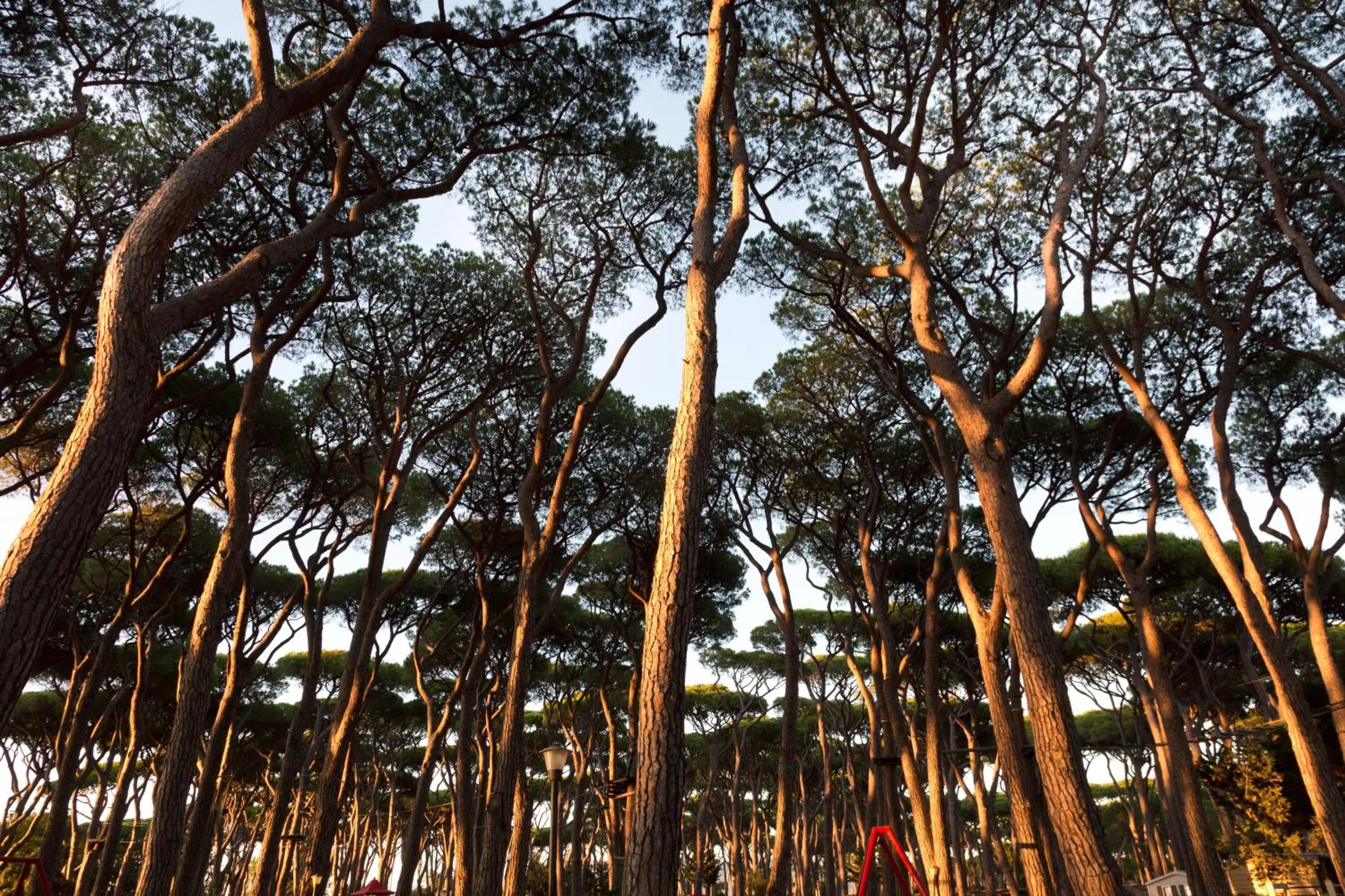 Area and facilities in hu Park Albatros village