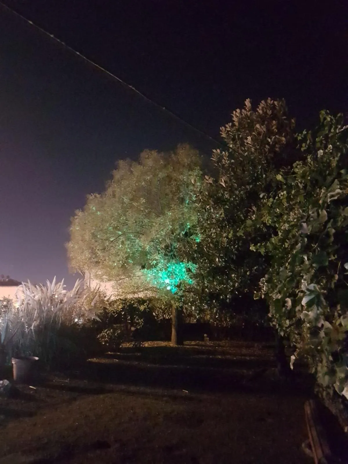 Garden view in Alle vecchie mura