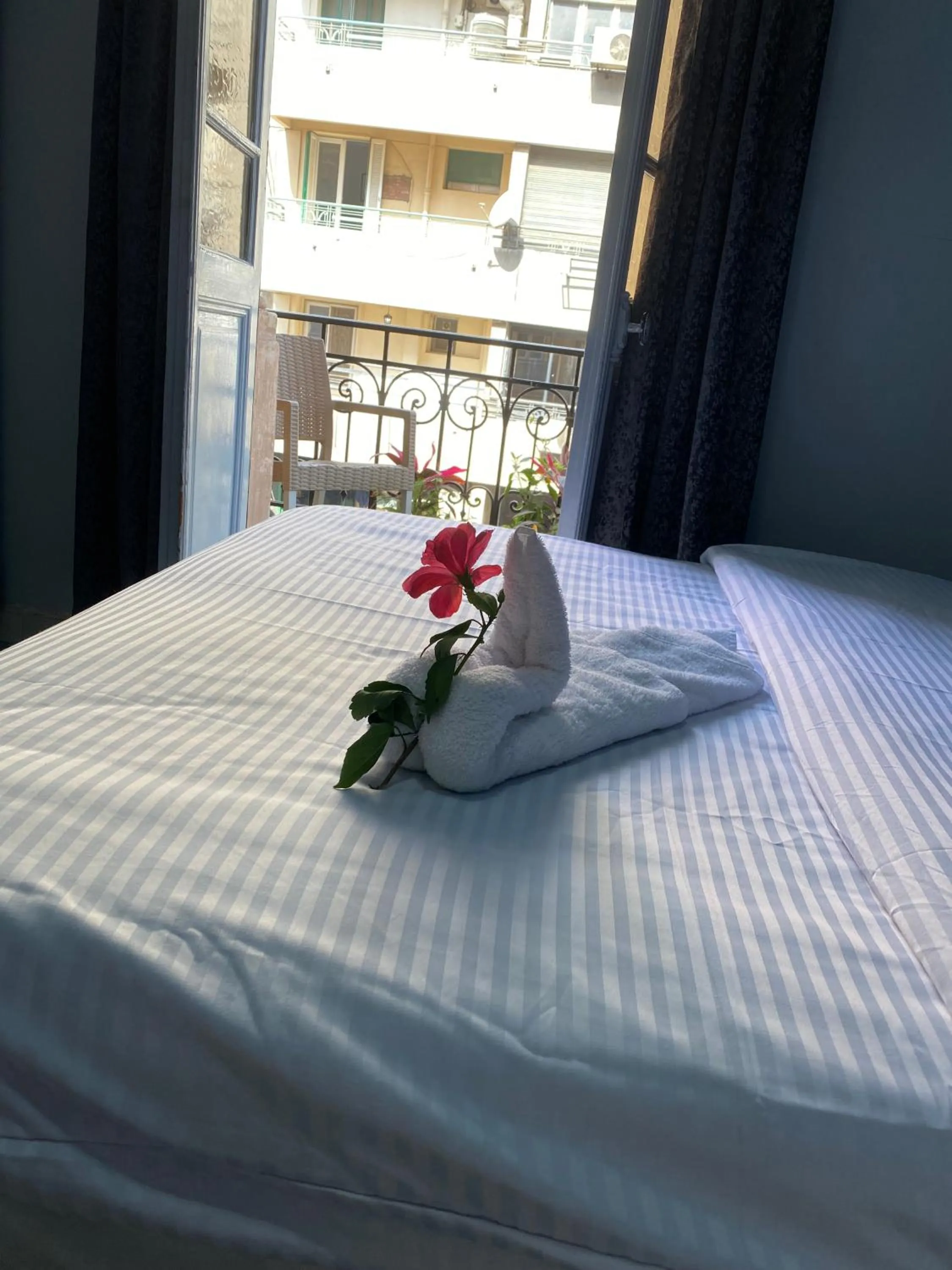 Balcony/Terrace, Bed in The Australian Hostel