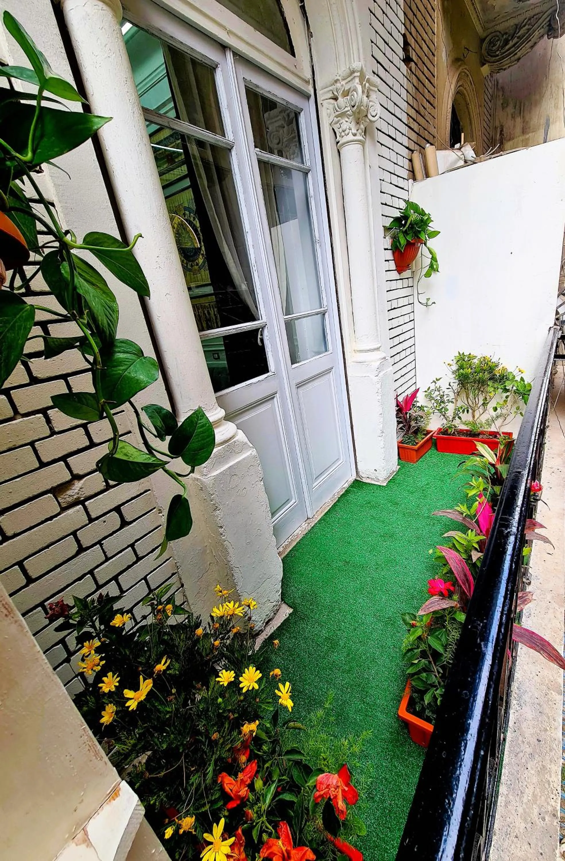 Patio in The Australian Hostel