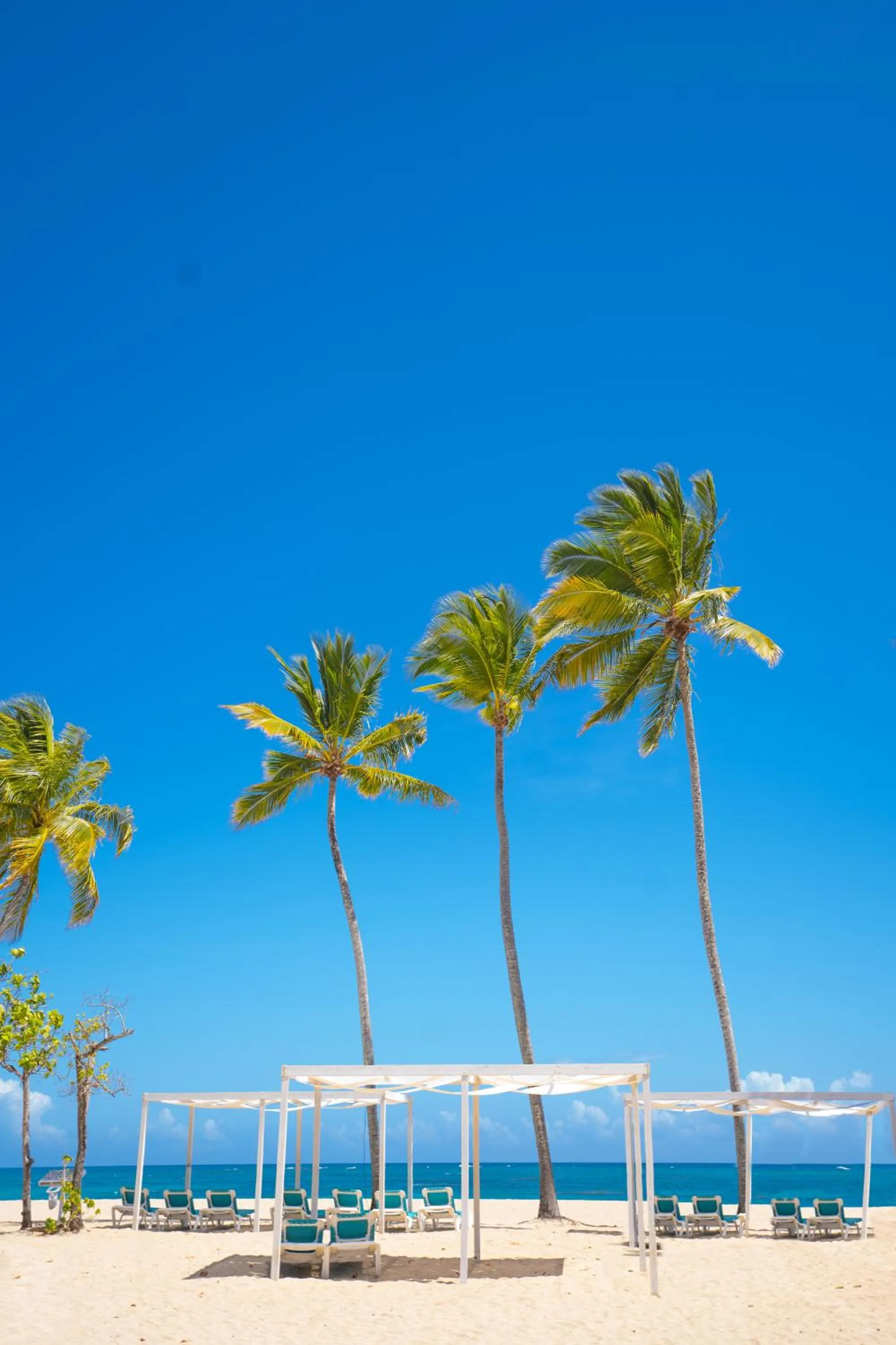 Beach in Emotions by Hodelpa Puerto Plata