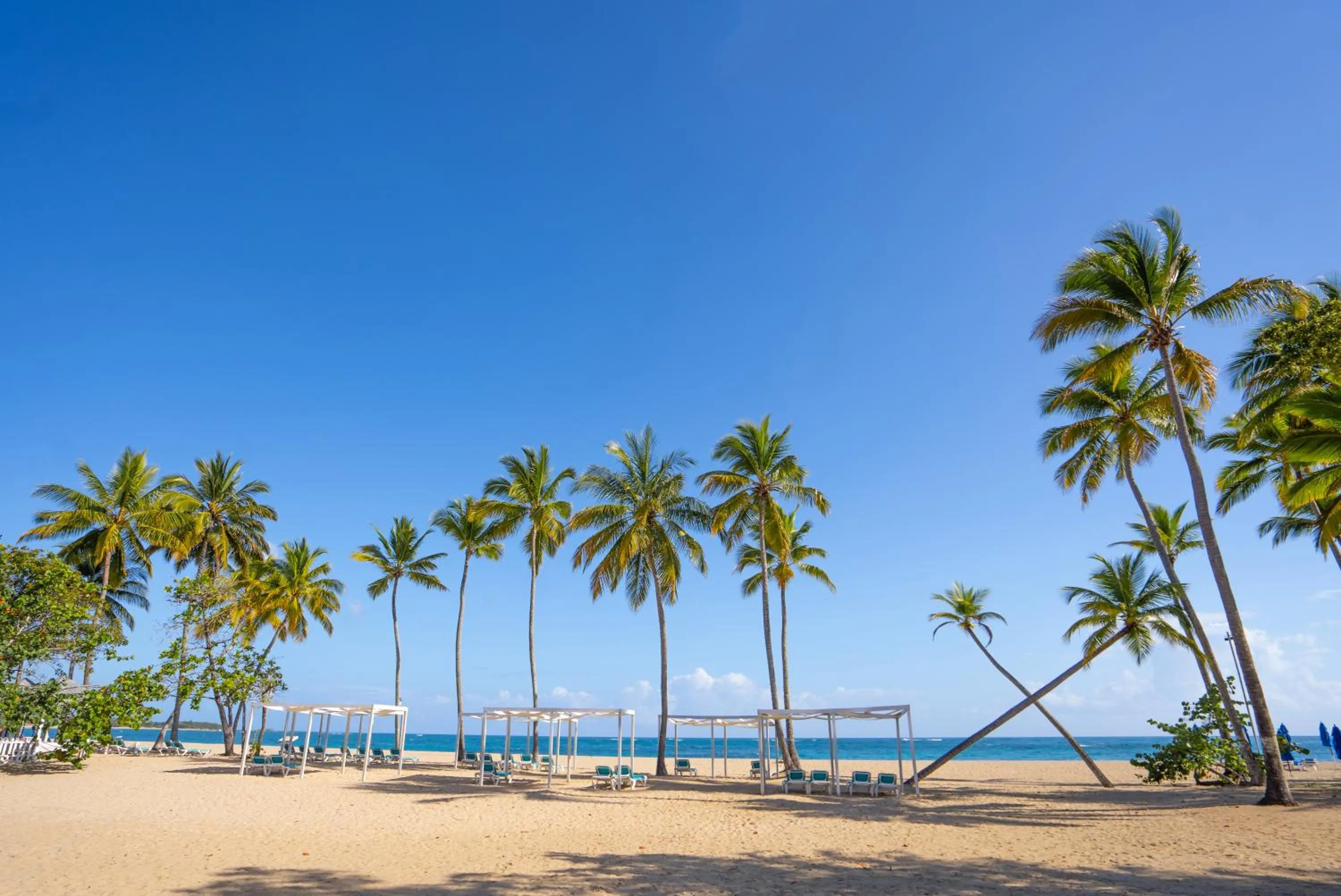 Beach in Emotions by Hodelpa Puerto Plata