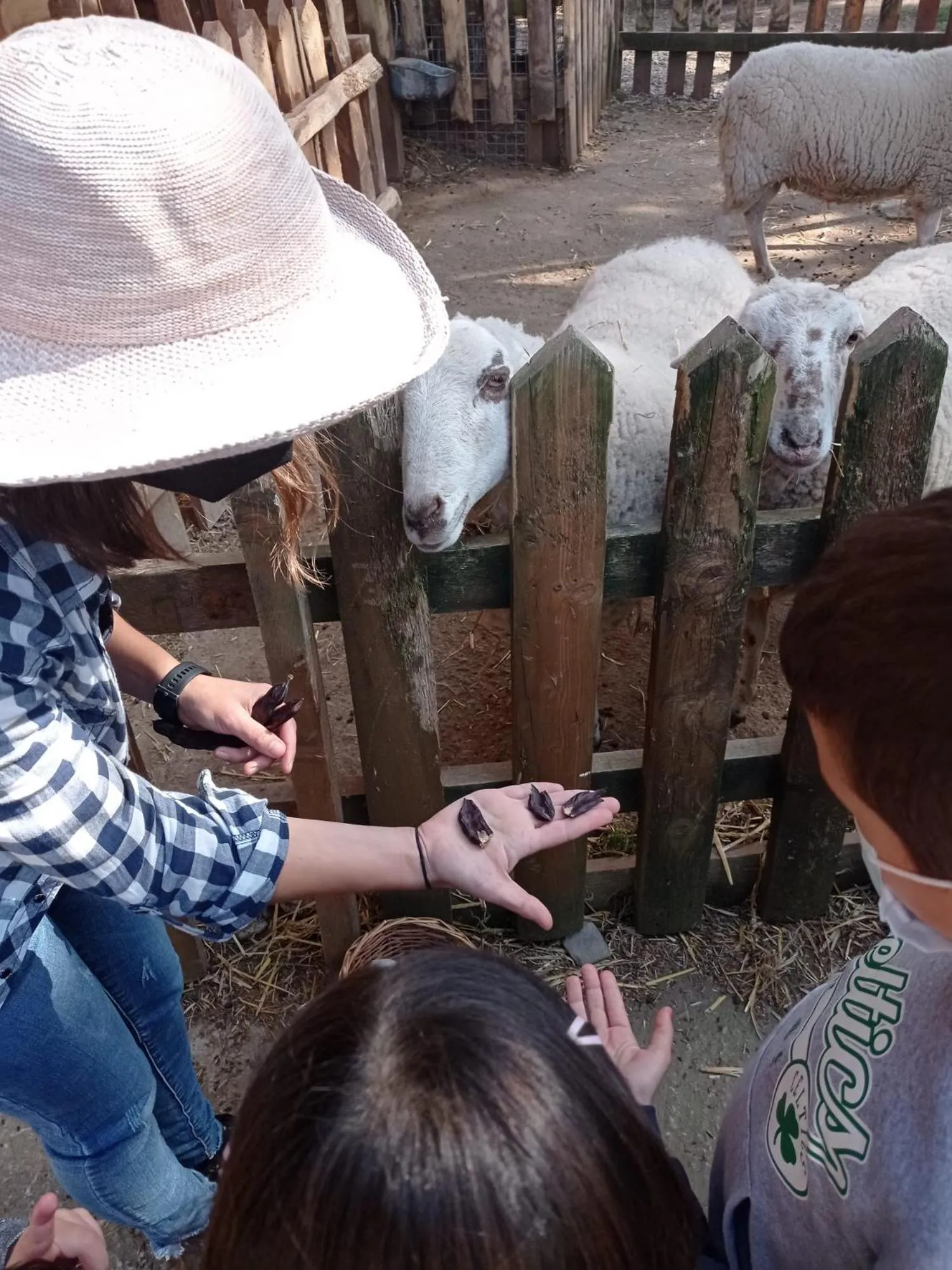 children in Xalet De Prades