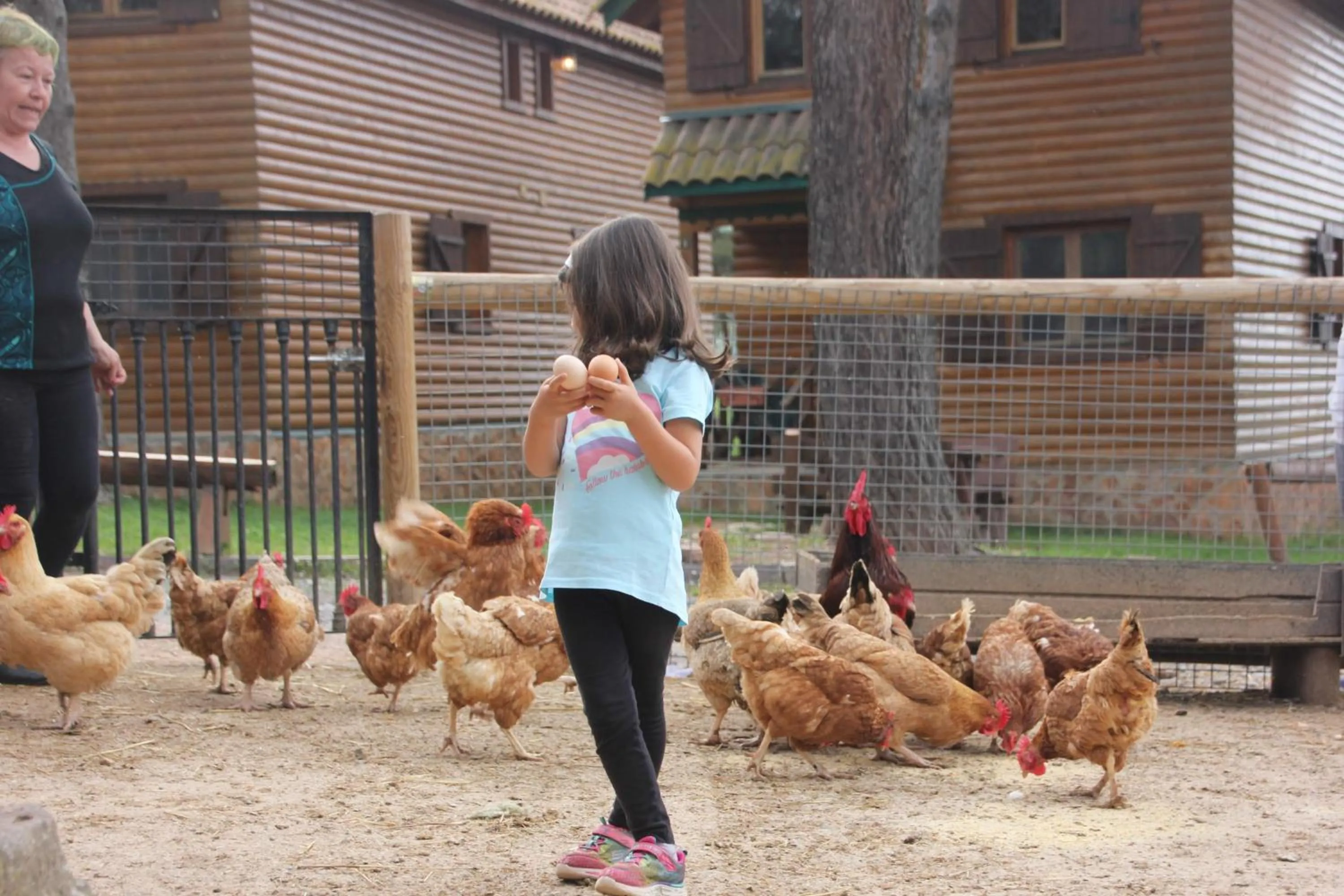 Animals in Xalet De Prades