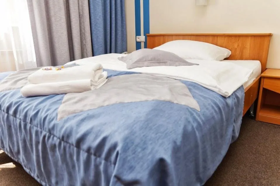 Photo of the whole room, Bed in Vistula Hotel