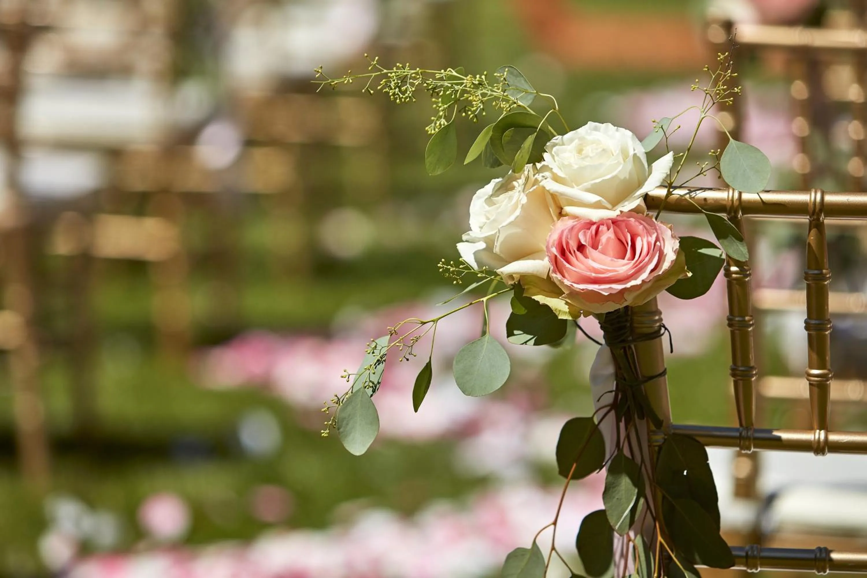 Swimming pool in Sheraton San Jose Silicon Valley