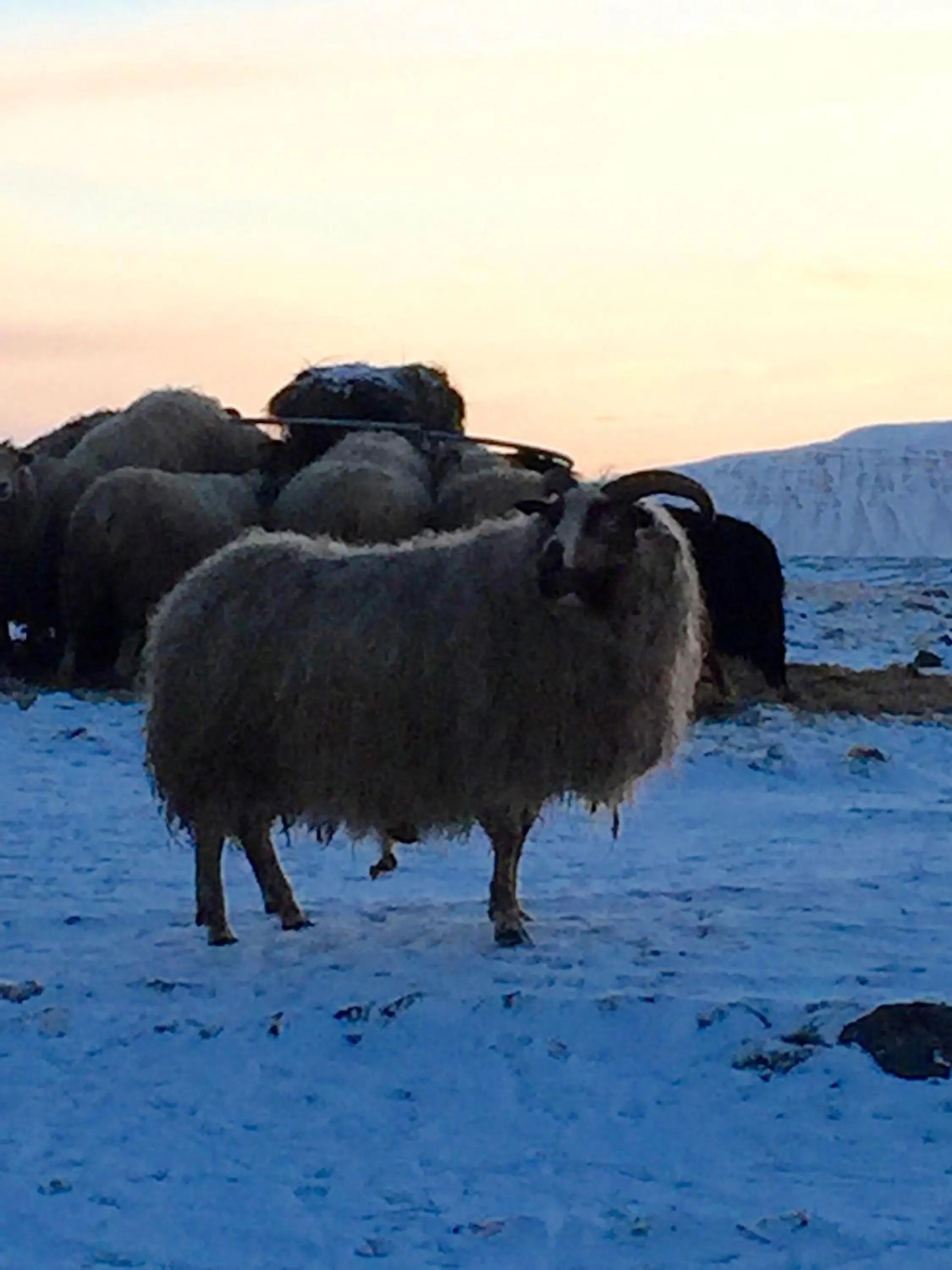 Helgafell