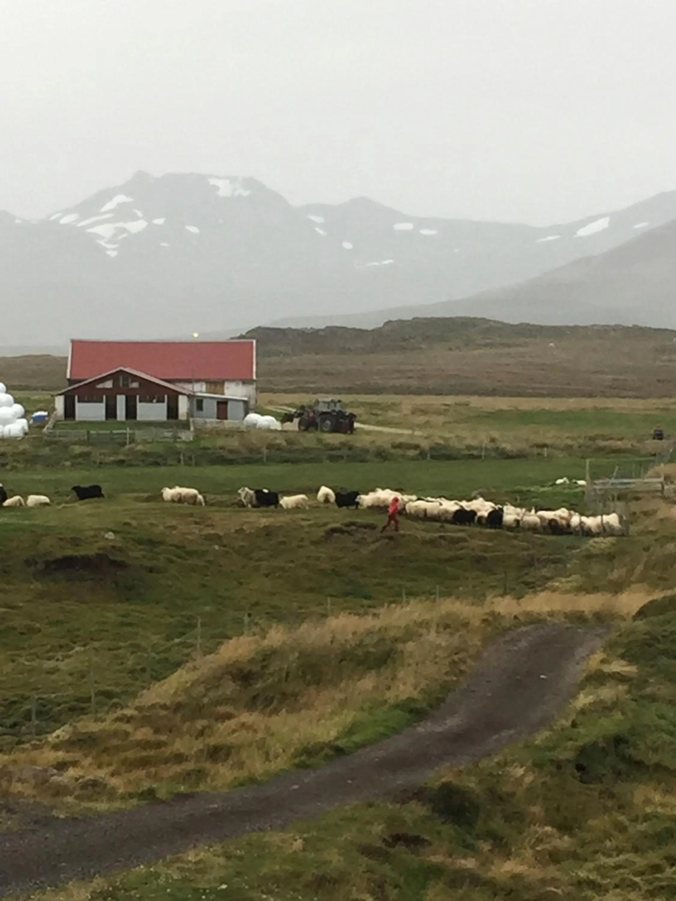 Helgafell