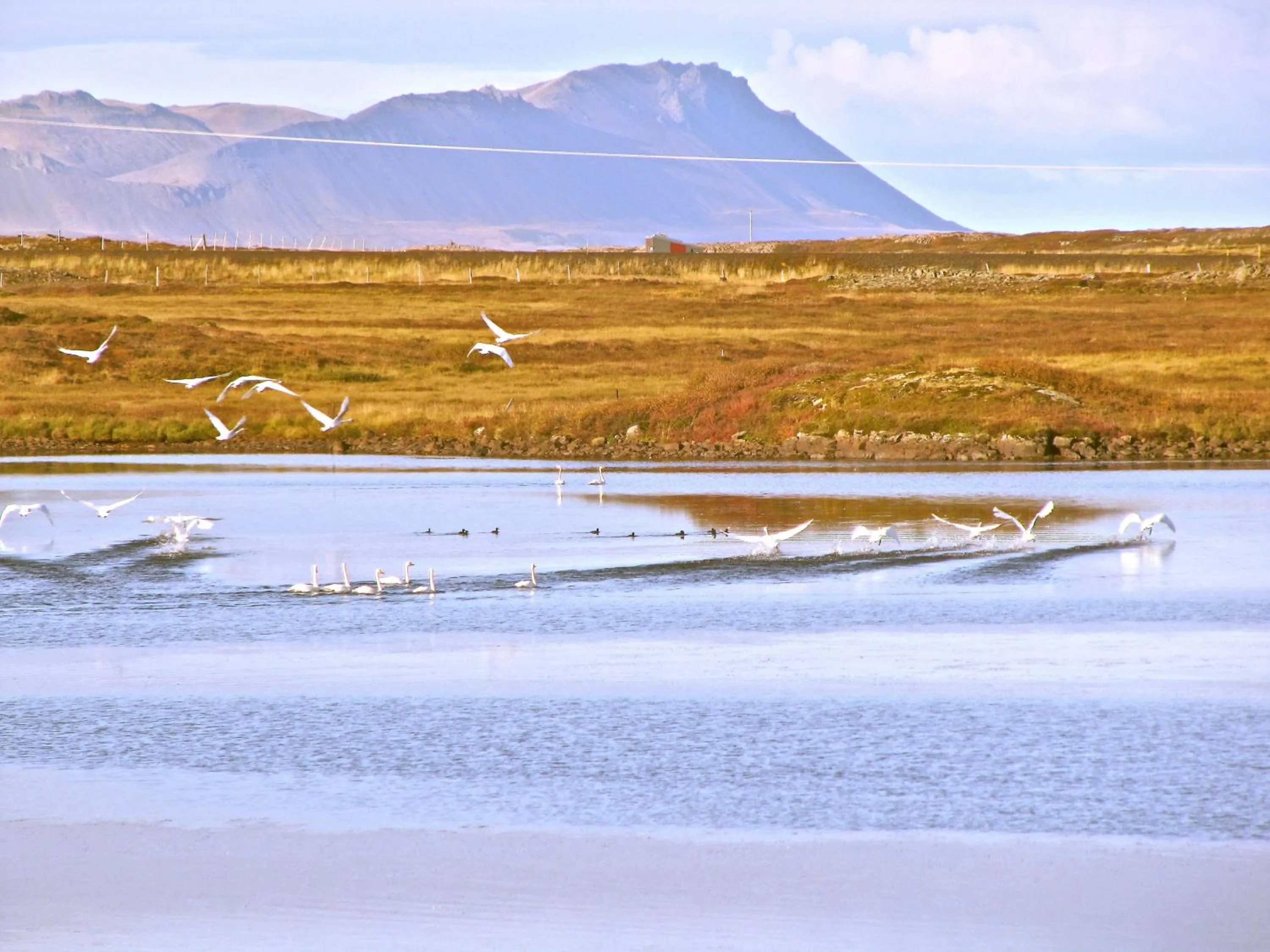 Other in Helgafell