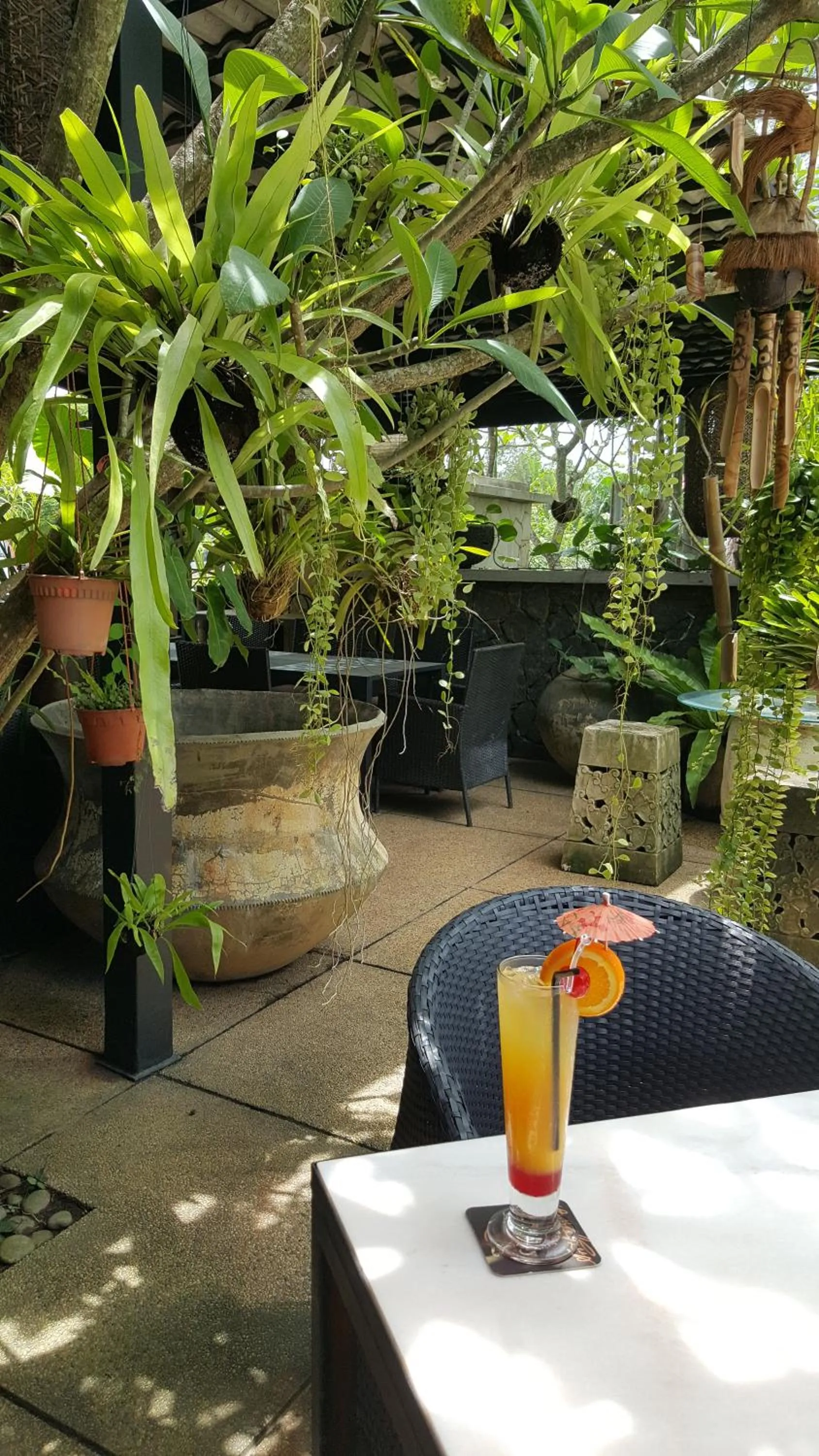 Drinks in Lot 33 Boutique Hotel