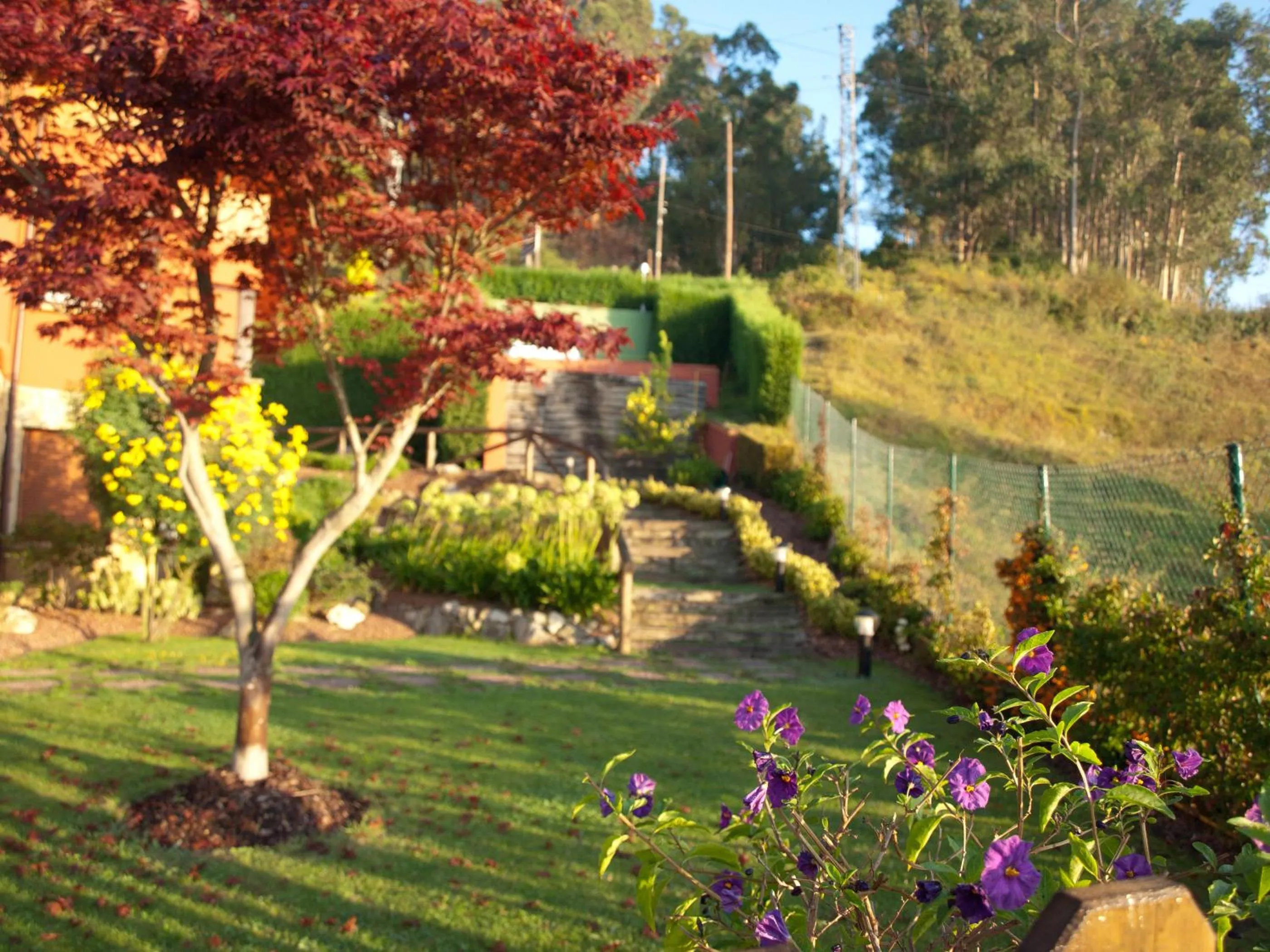 Garden in Hotel Casa Camila
