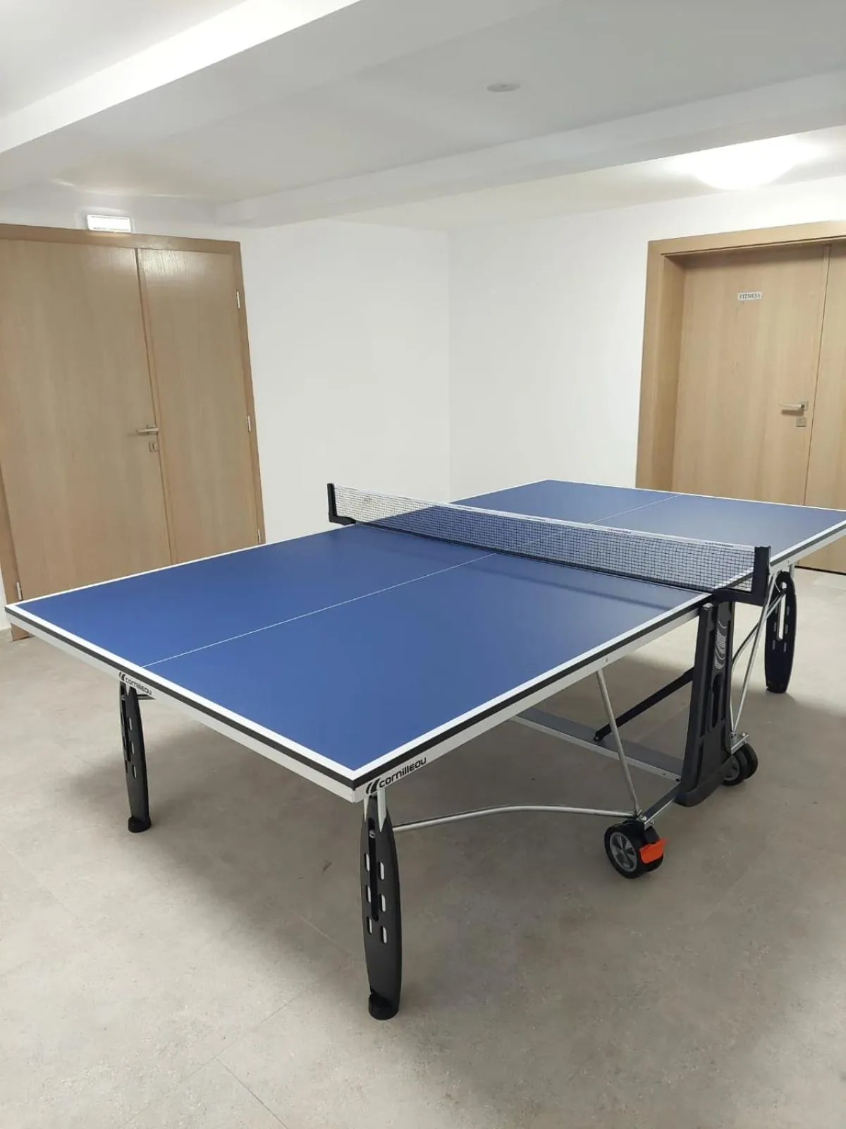 Table tennis in New Wolf