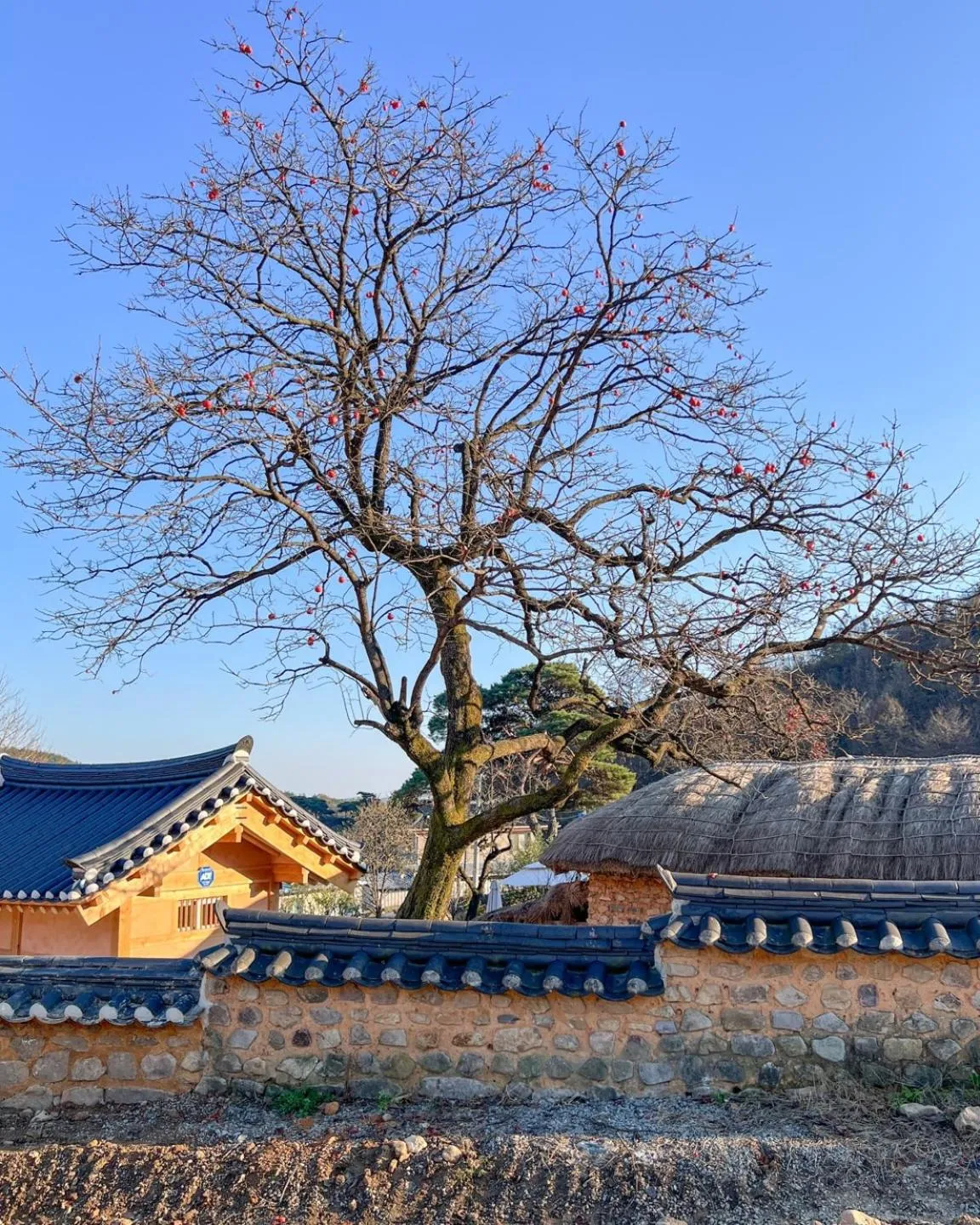 Jukheon Traditional House
