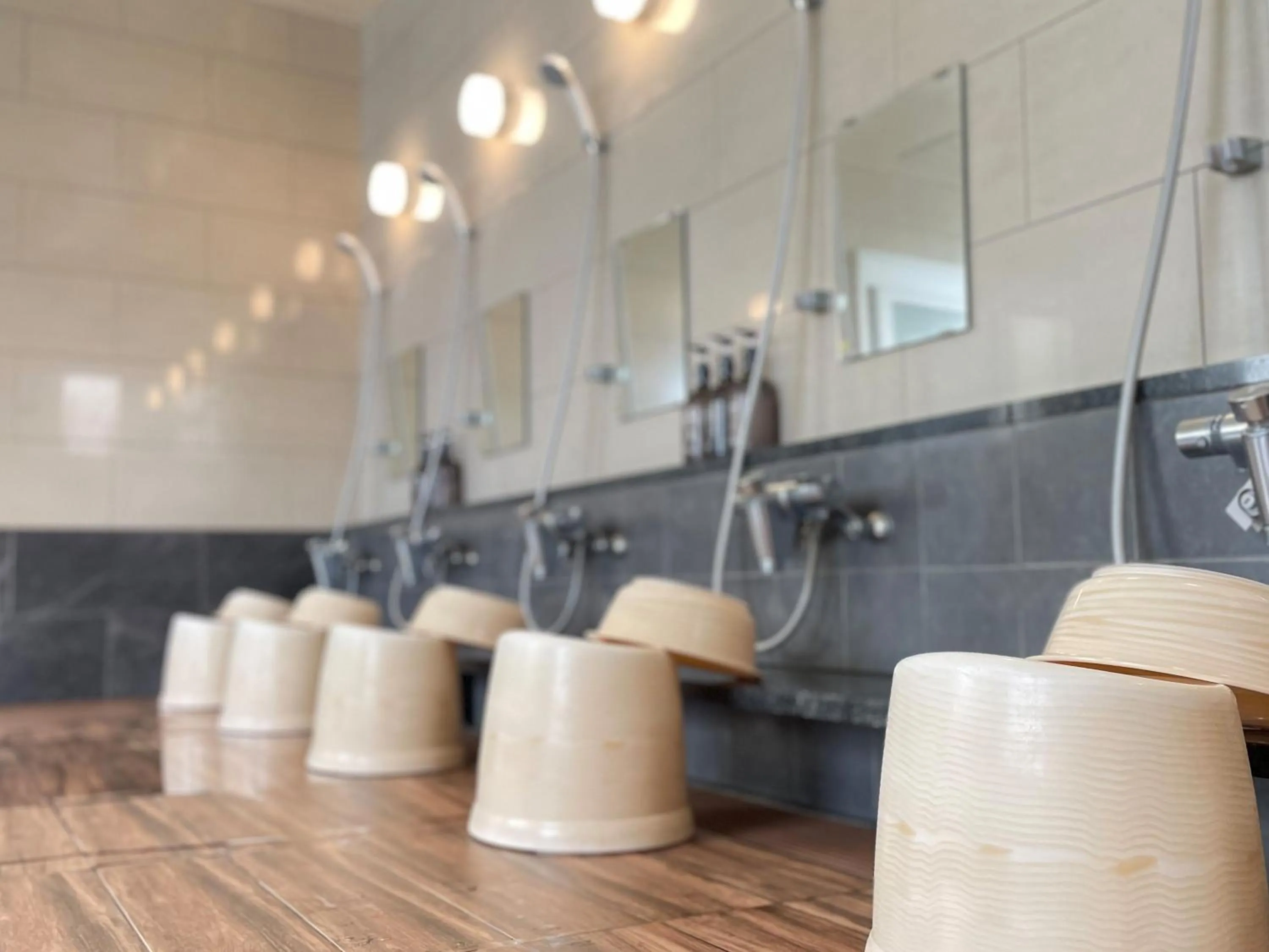 Public Bath in Sabae Daiichi Hotel