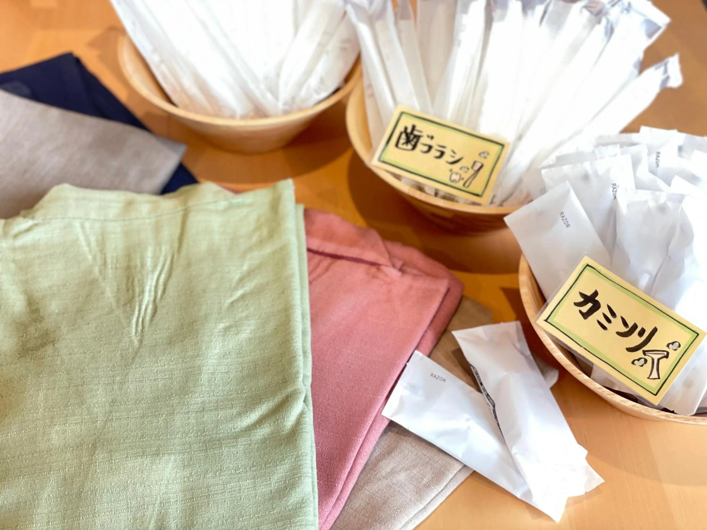 Area and facilities in Sabae Daiichi Hotel