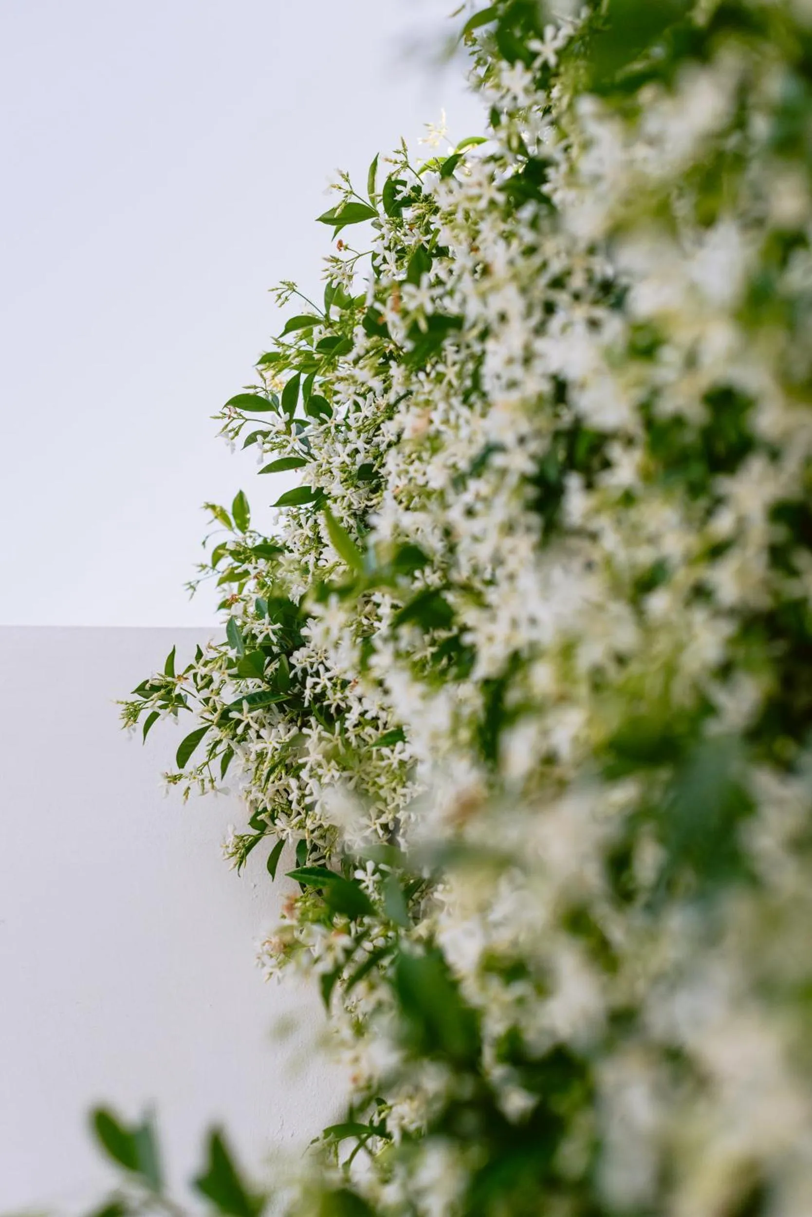 Decorative detail in Casa Maca