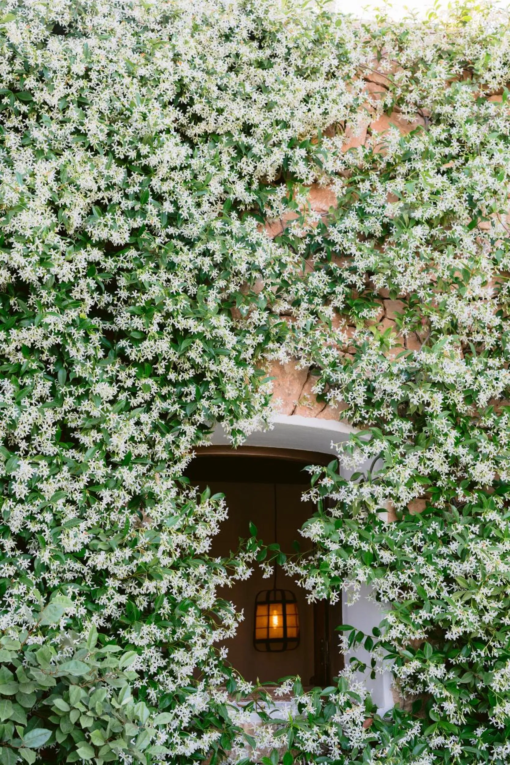 Facade/entrance in Casa Maca