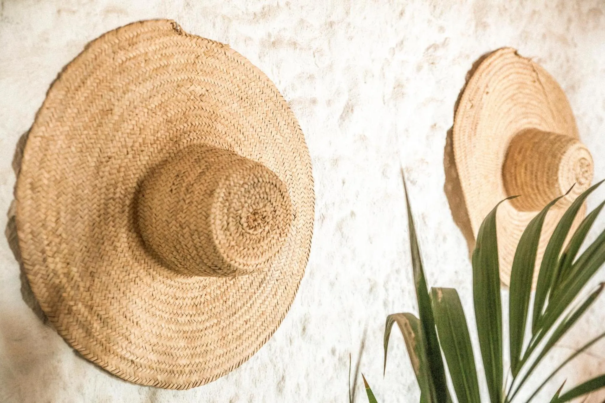 Lobby or reception in Casa Maca