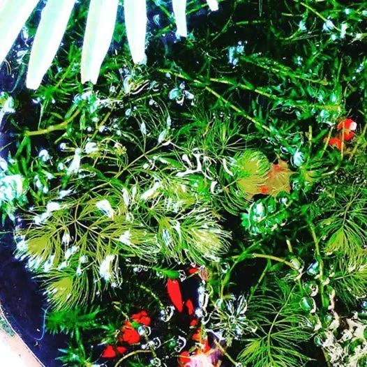 民宿有田 Arita Guesthouse