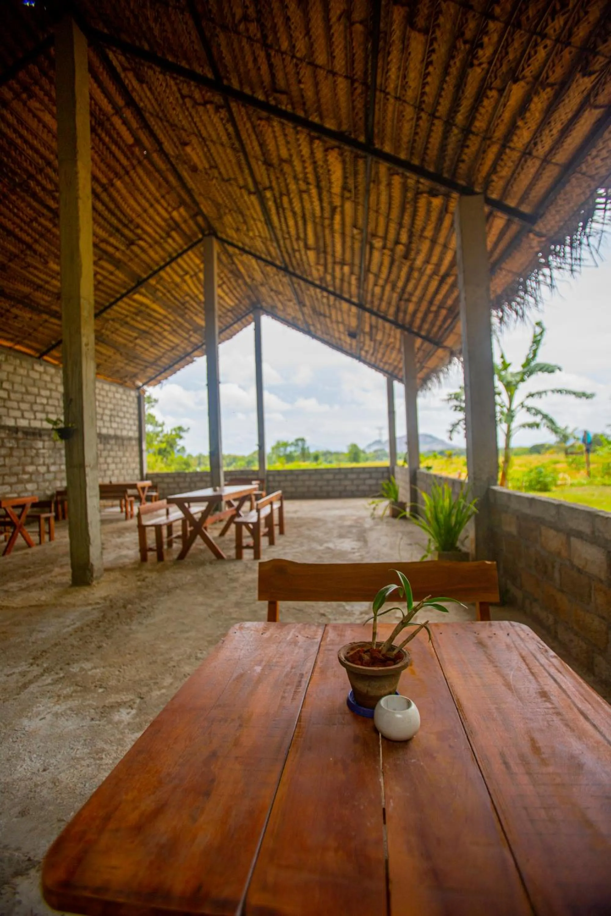 Restaurant/places to eat in Evergreen Hotel Dambulla