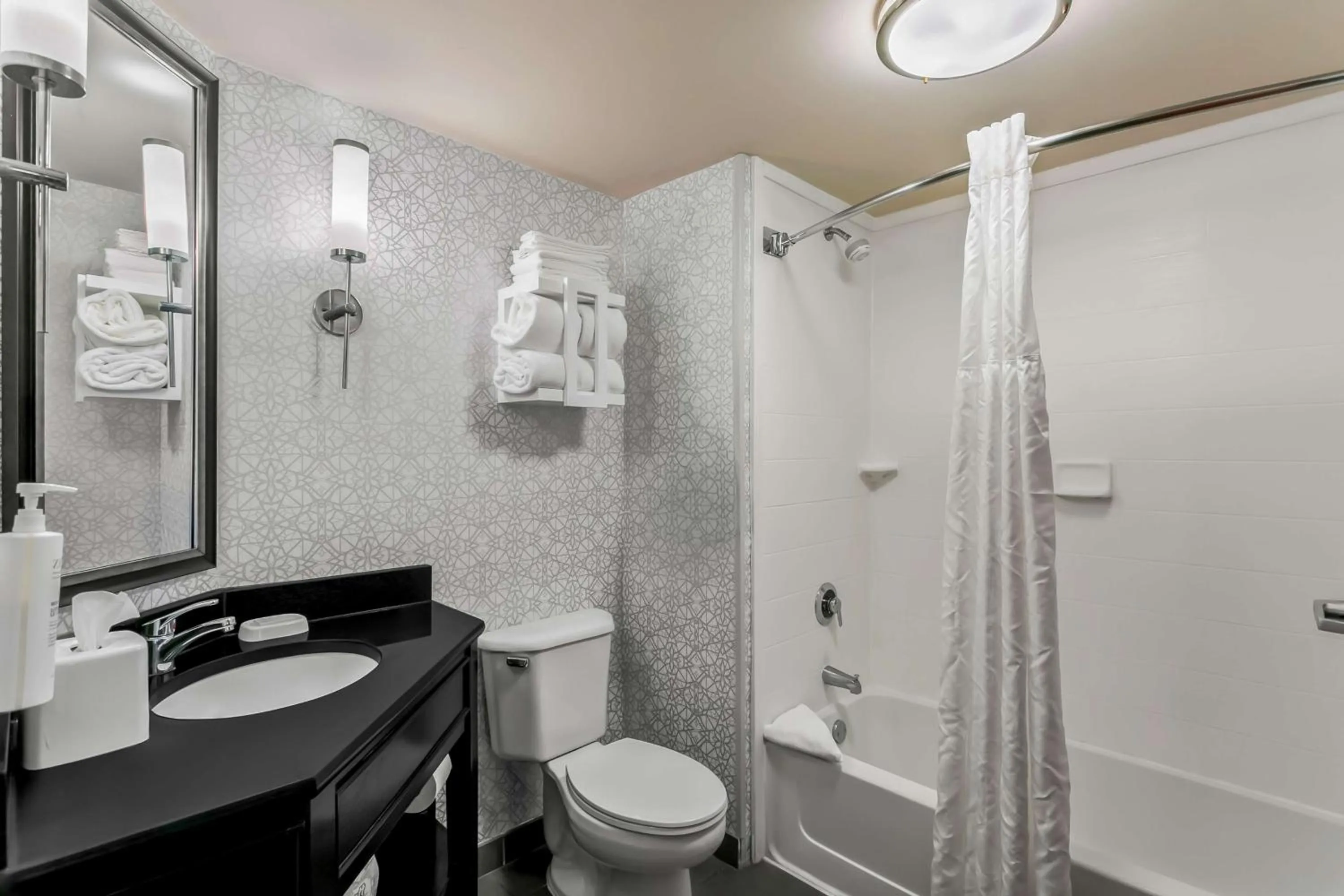 Bathroom in Hampton Inn Bowie