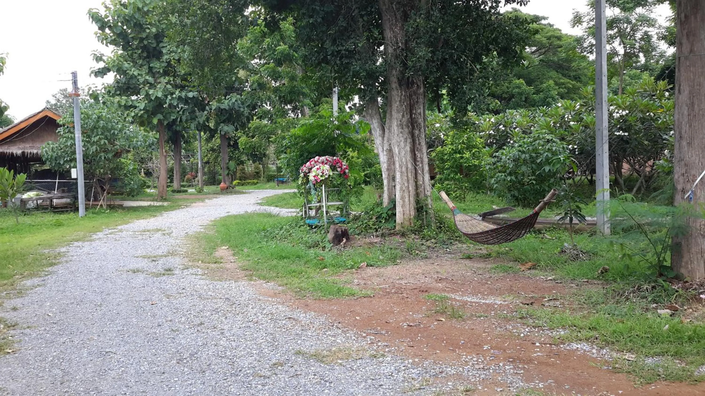 Spring in Sisatchanalai Heritage Resort