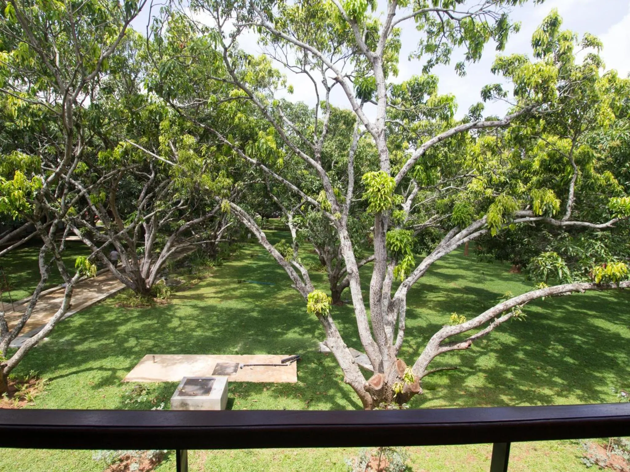 Garden in Sigiriana Resort by Thilanka