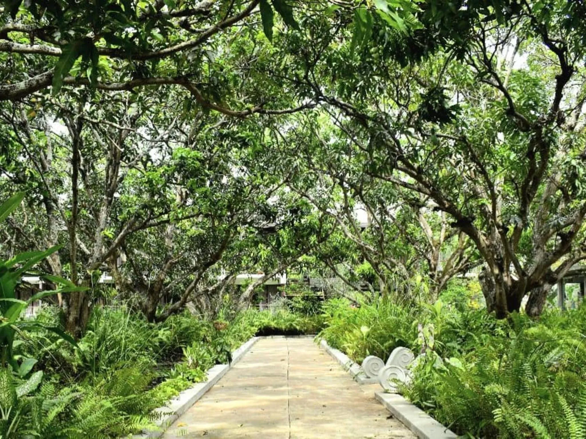 Garden in Sigiriana Resort by Thilanka