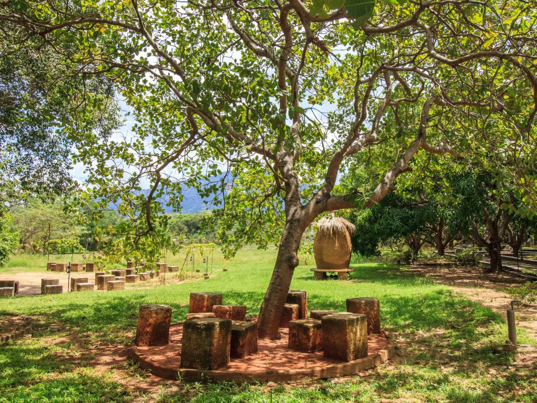 Garden in Sigiriana Resort by Thilanka