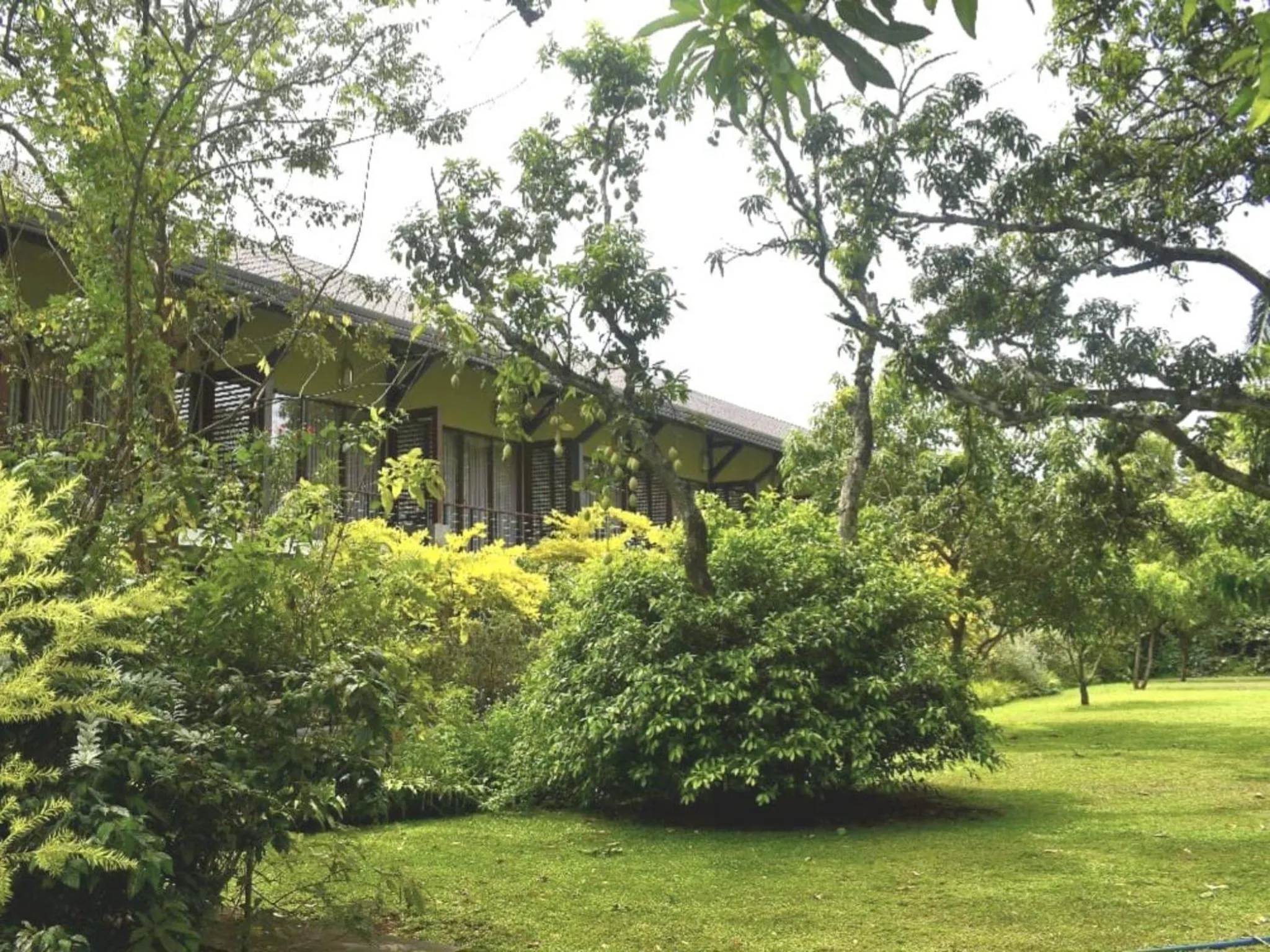 Garden in Sigiriana Resort by Thilanka