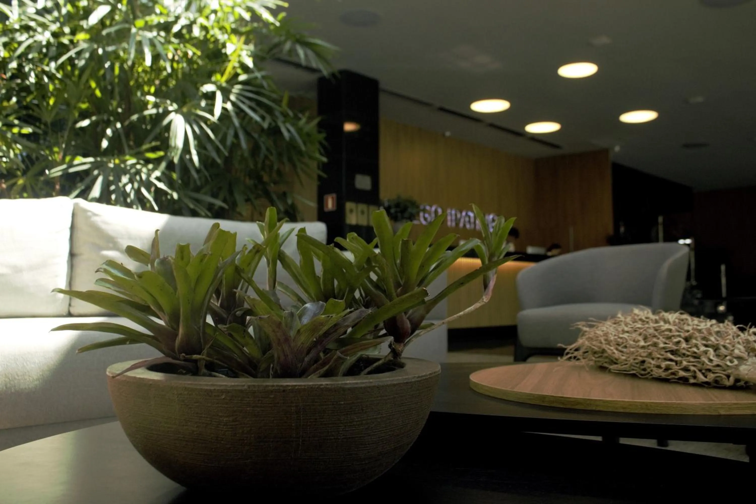 Seating area in San Diego Suites Ipatinga