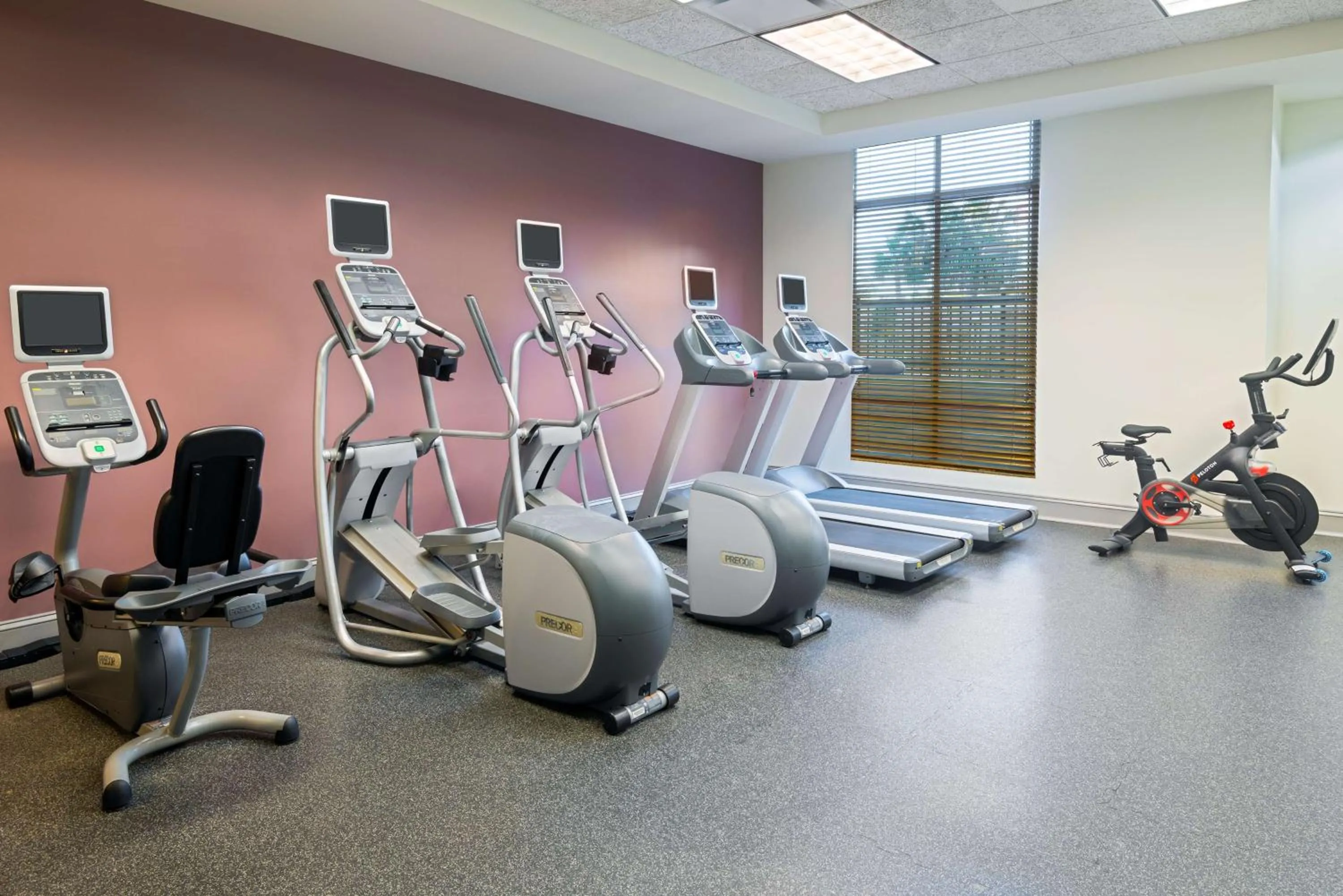Fitness centre/facilities in Hilton Garden Inn Tampa Riverview Brandon