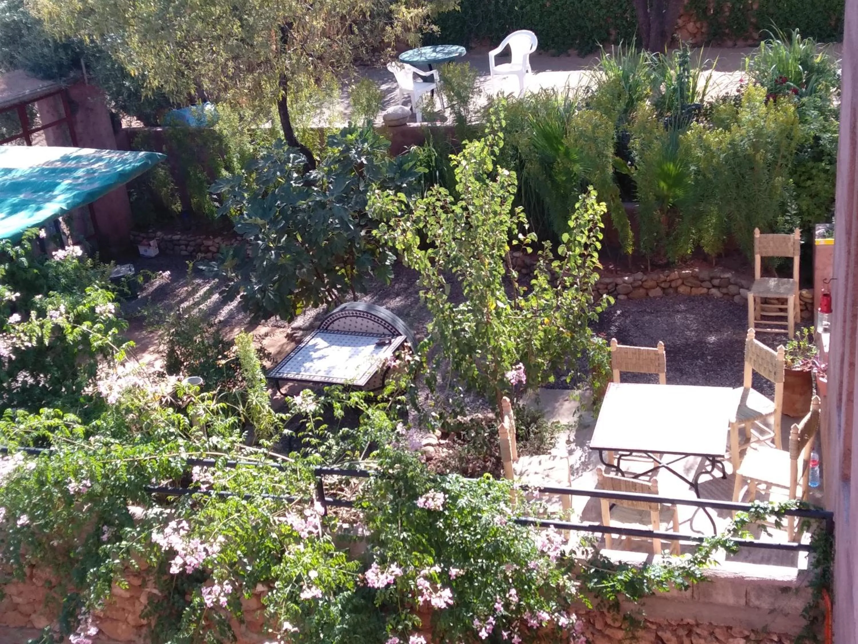 Garden view in Chambre d'hôtes aya