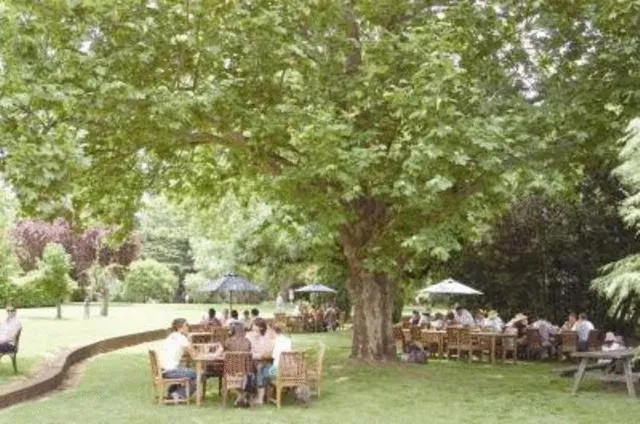 Garden in Petersons Armidale Winery and Guesthouse