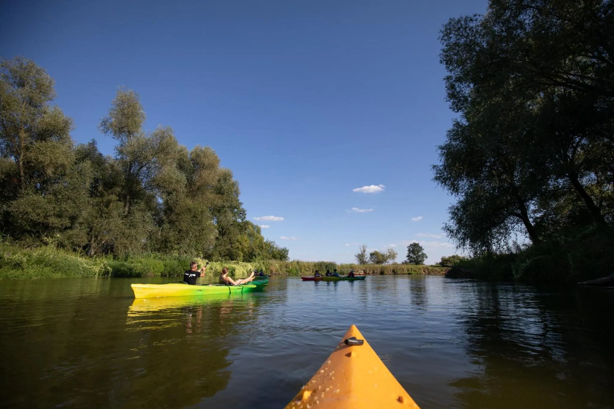 Entertainment in Gościniec Pod Lasem