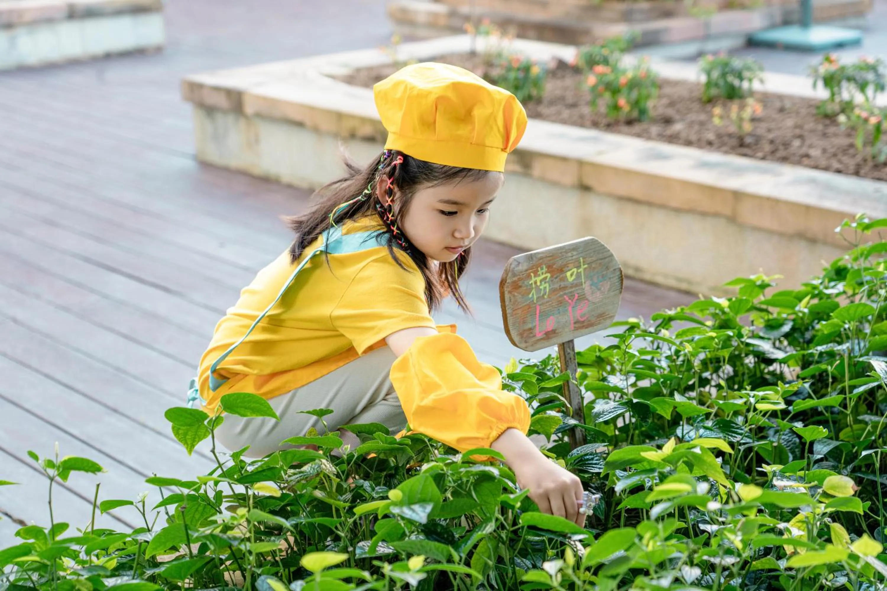 Activities in JW Marriott Hotel Sanya Dadonghai Bay