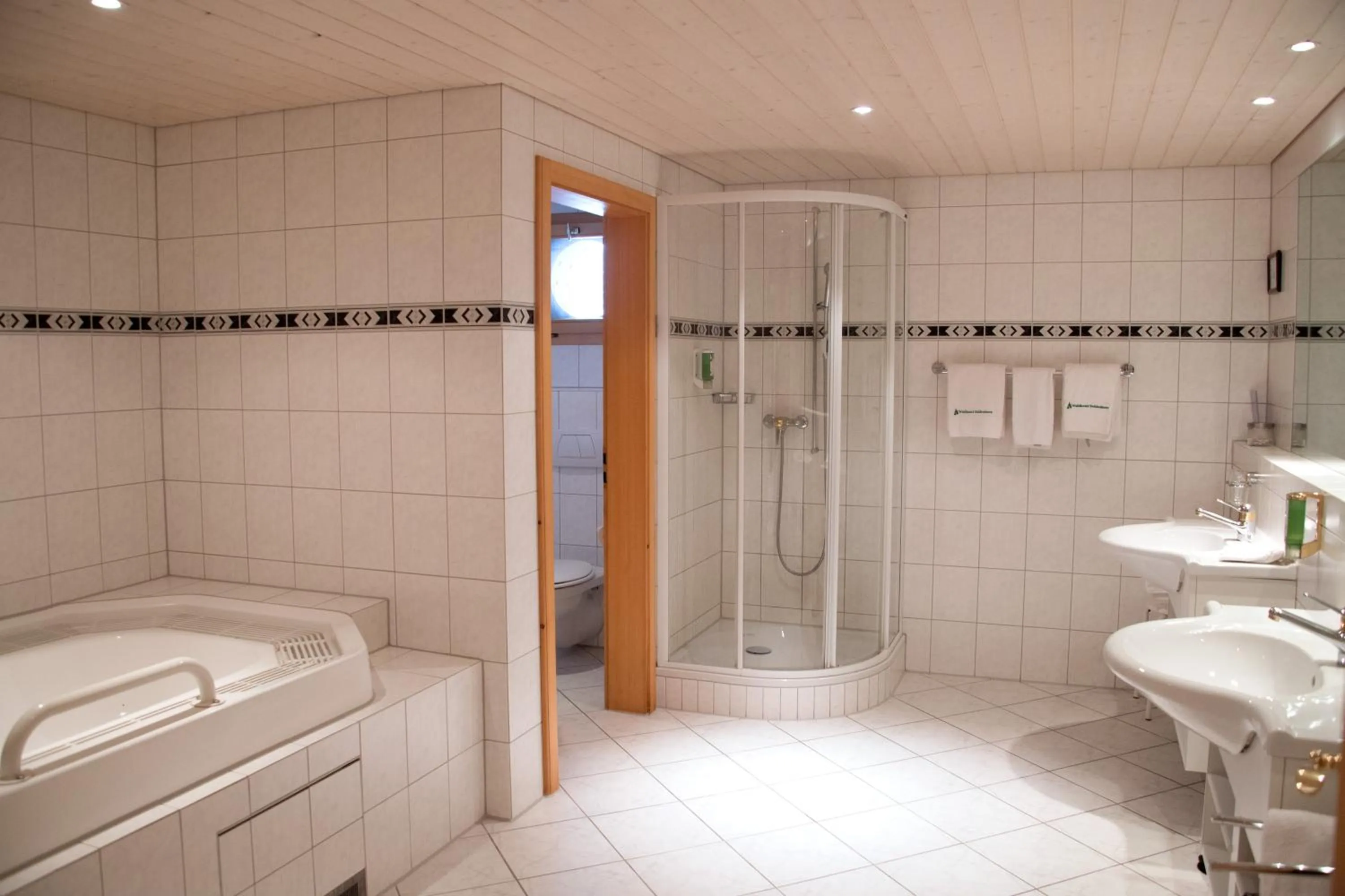 Bathroom in Waldhotel Doldenhorn