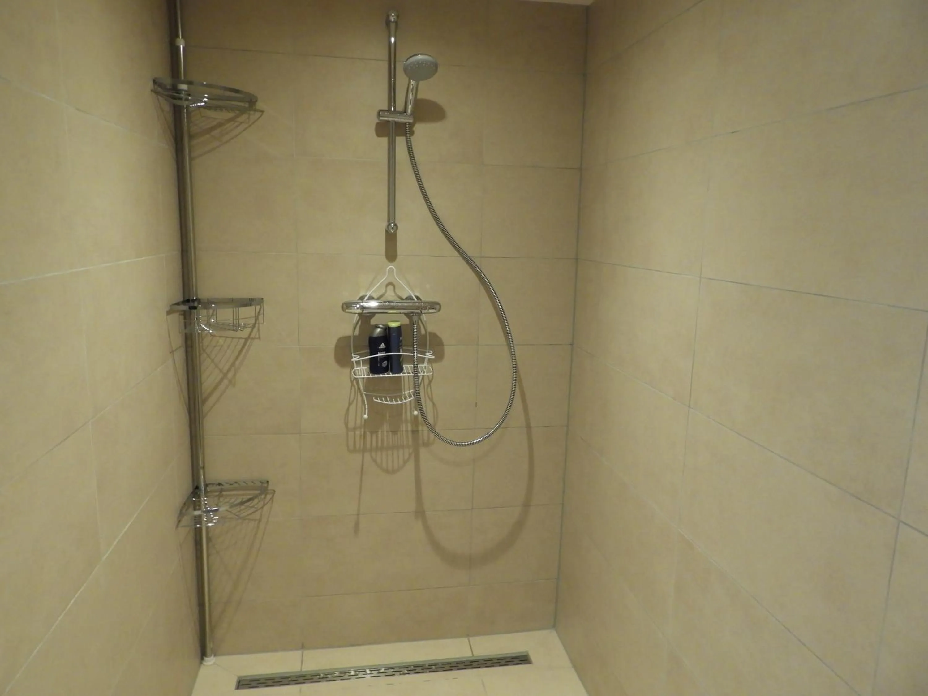 Shower in Romala's Home