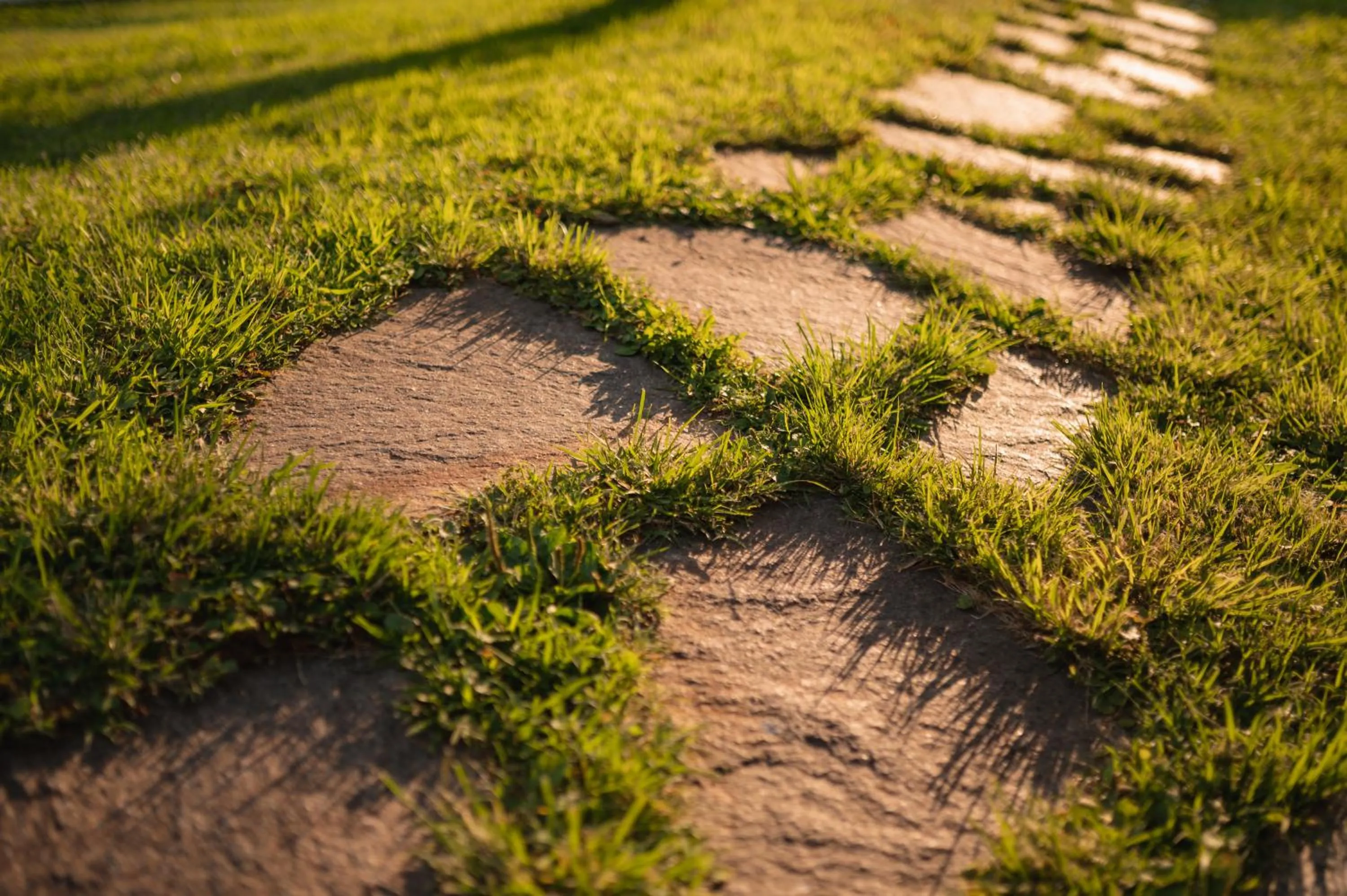 Garden in Hotel Pollinger