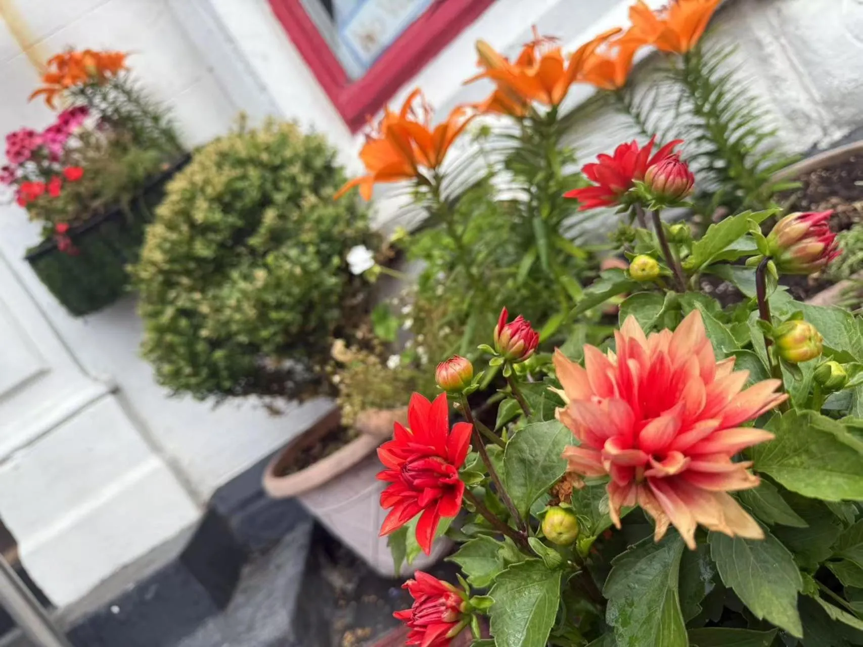 Property building in The Aberford