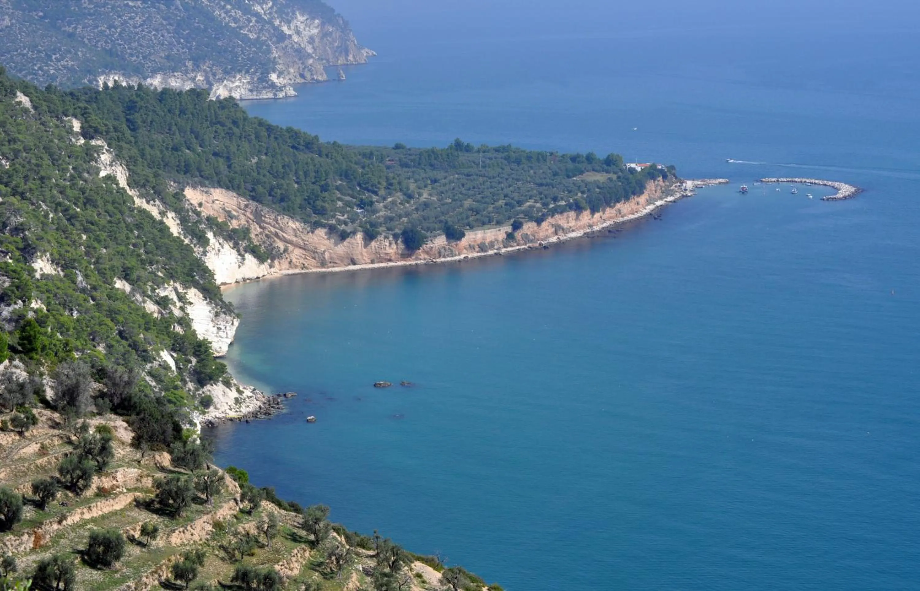 Natural landscape in Hotel Solaria