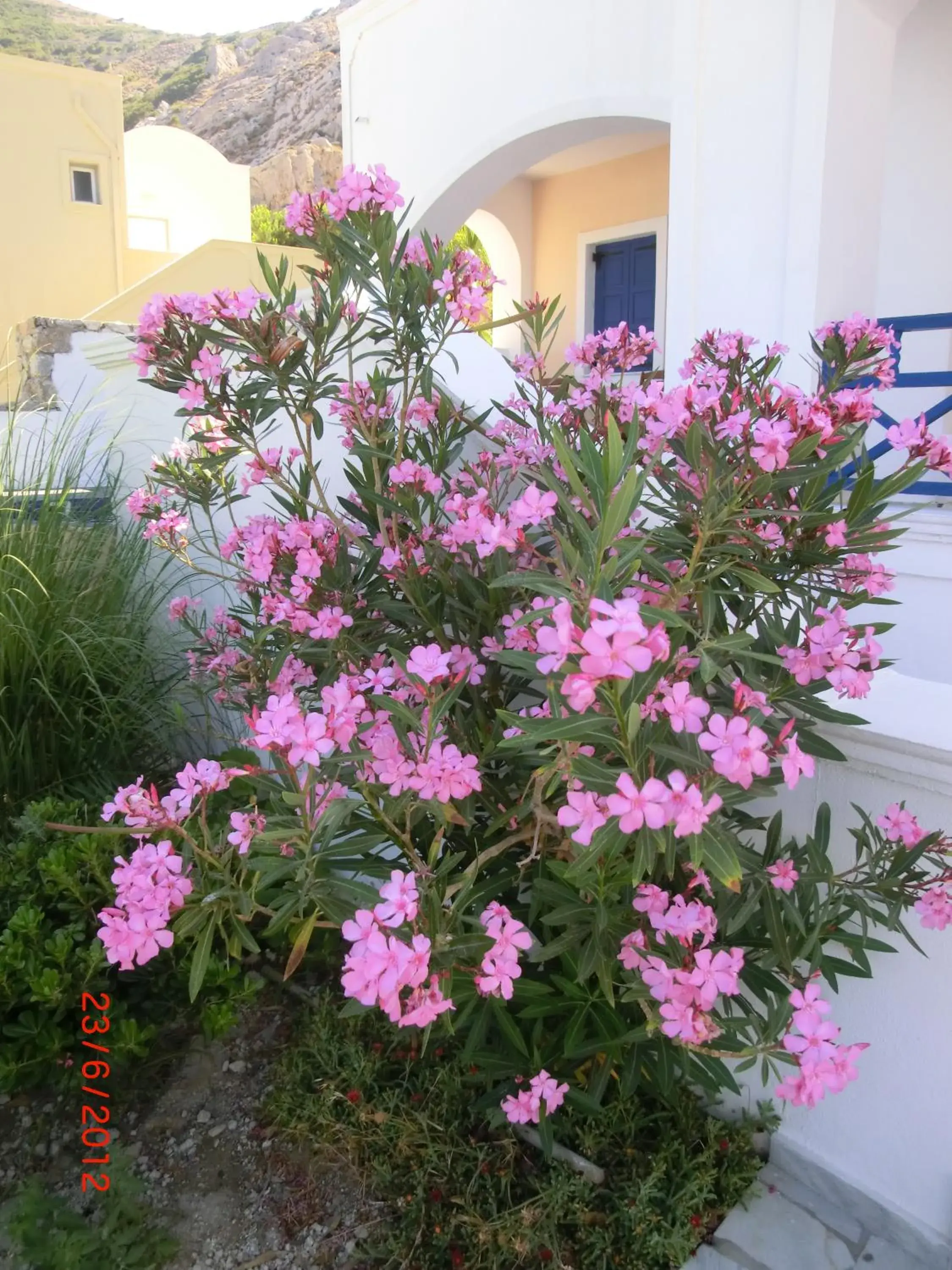 Other in Aegean View Hotel Other in Aegean View Hotel