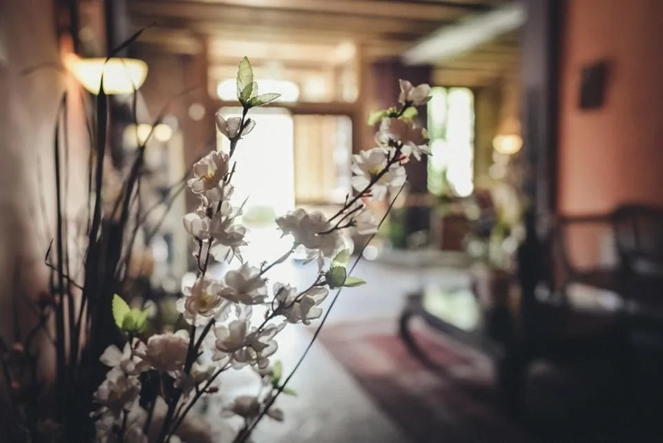 El Señorio De La Serrezuela