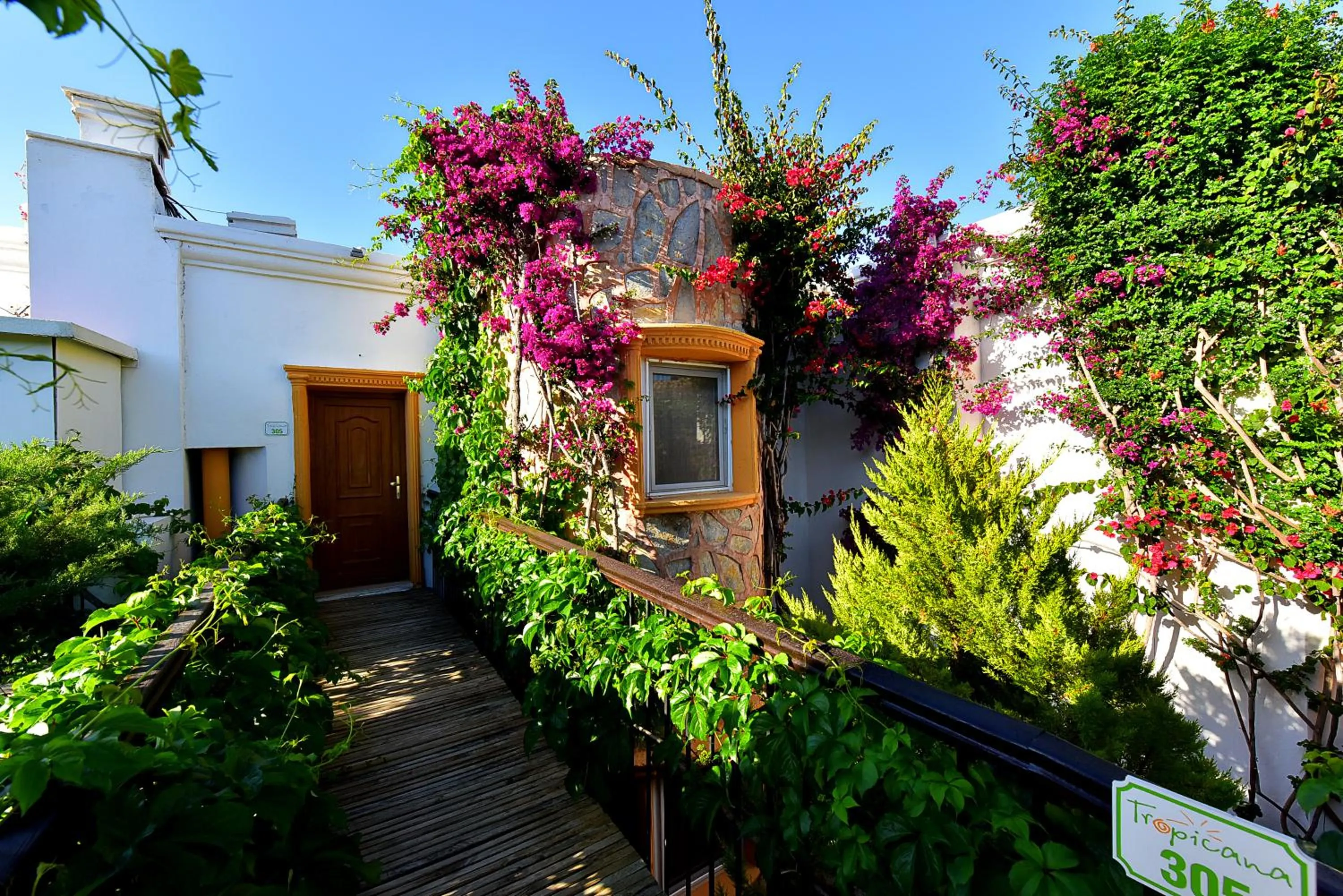 Property building in Tropicana Beach